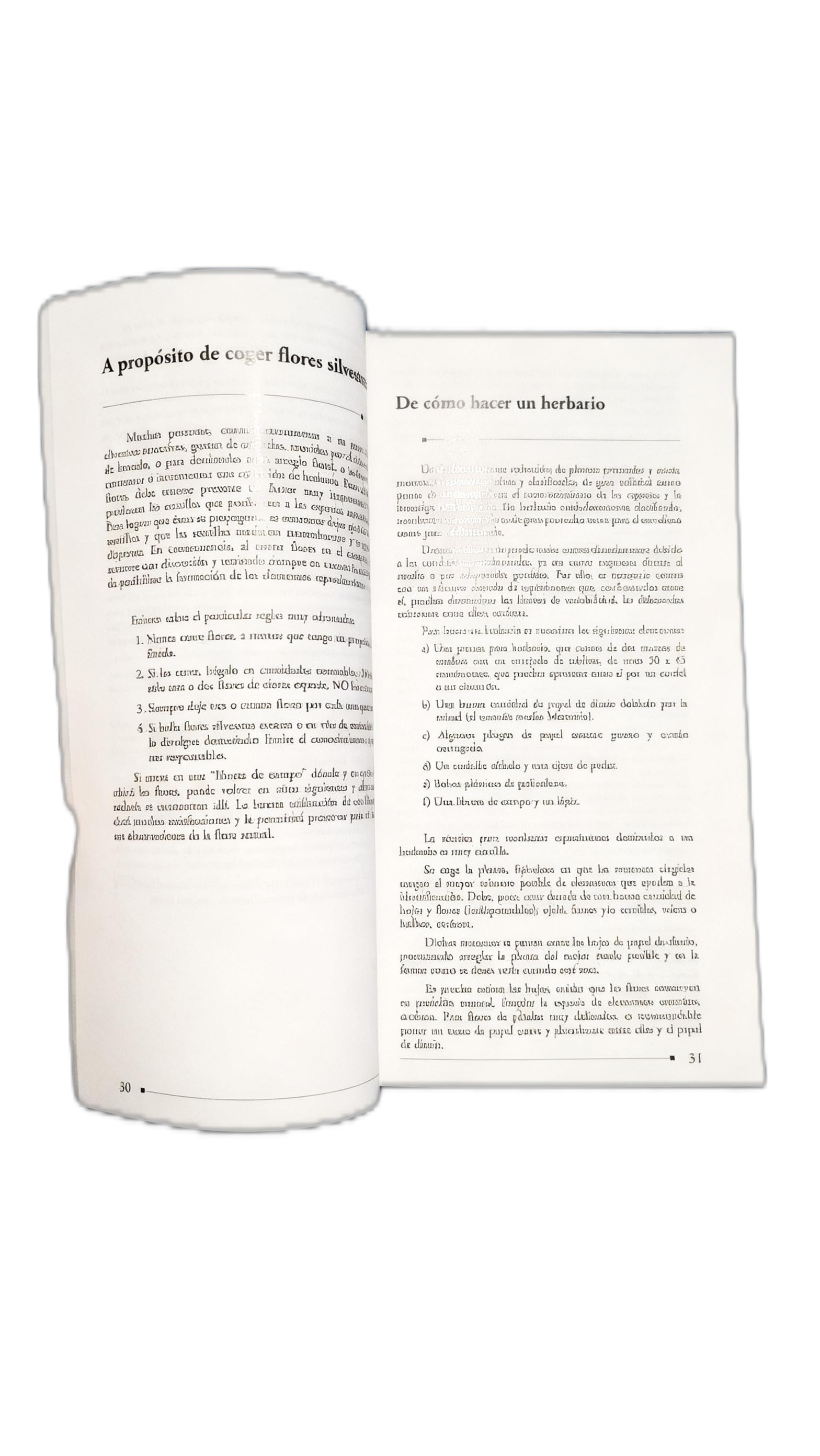 Flora Silvestre de Chile, Zona Central – Adriana H - miniatura 5