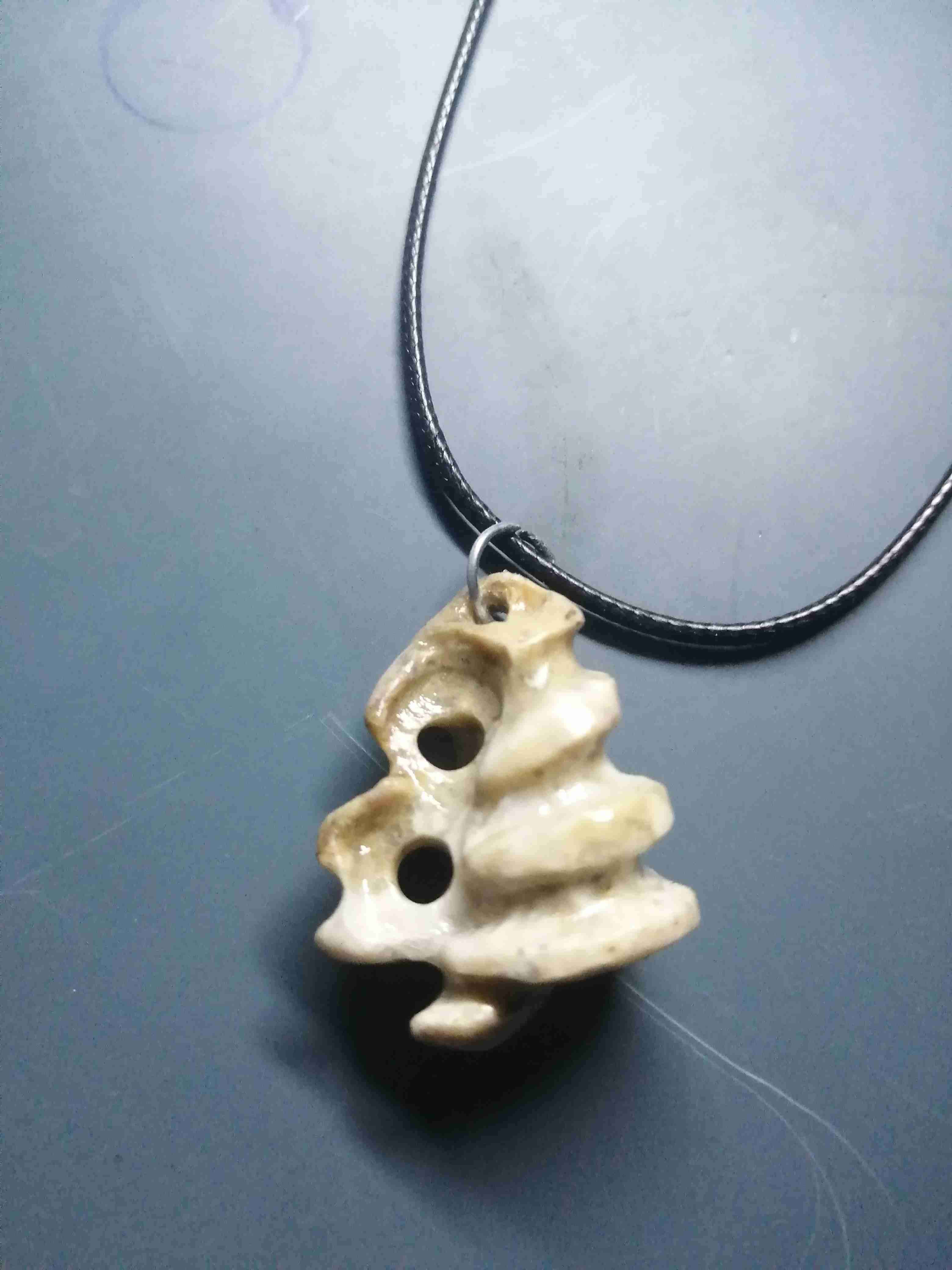 Collar con colgante de piedra magallanica - miniatura 2