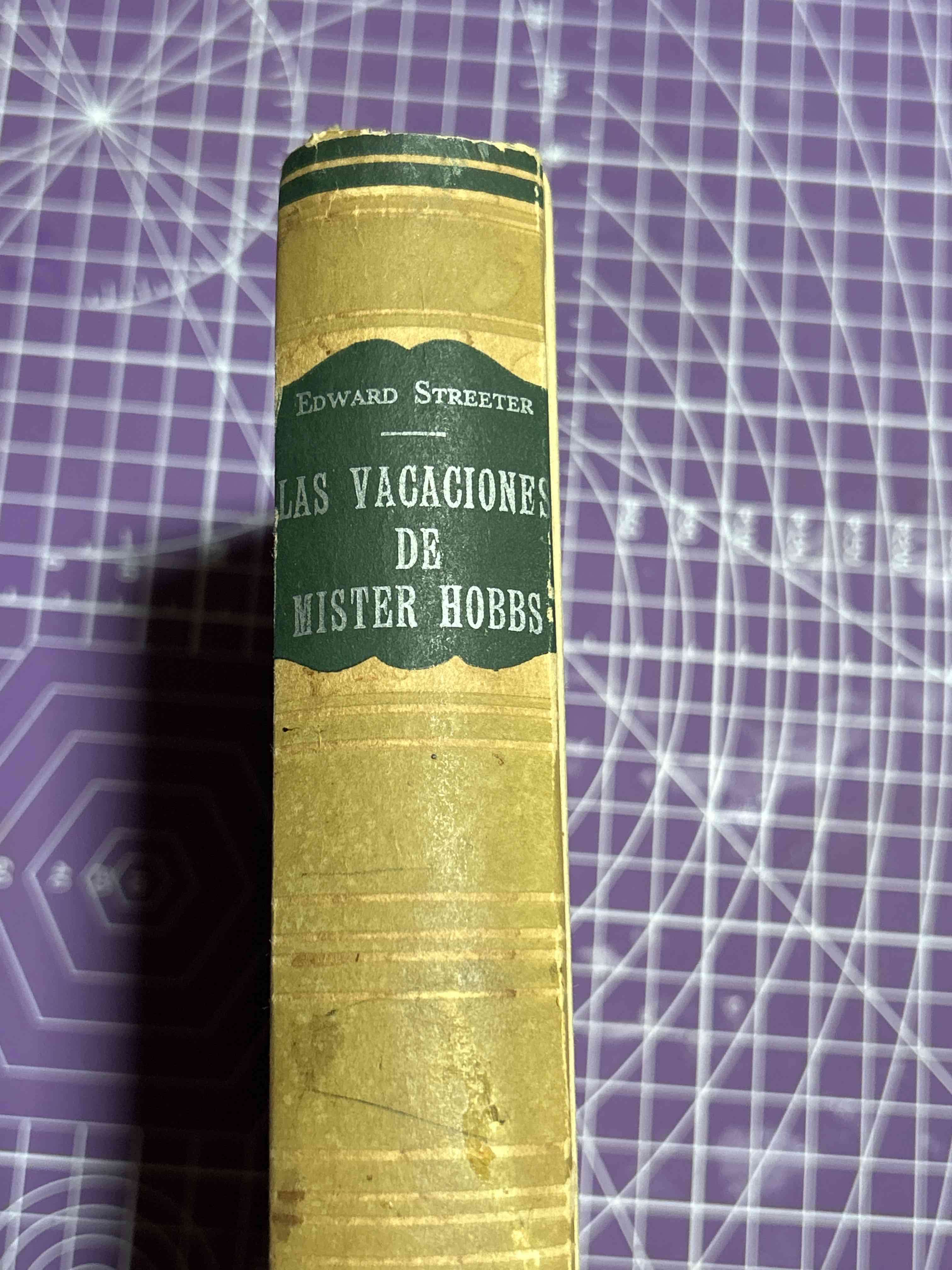 Libro las vacaciones de Mister Hobbs - miniatura 2