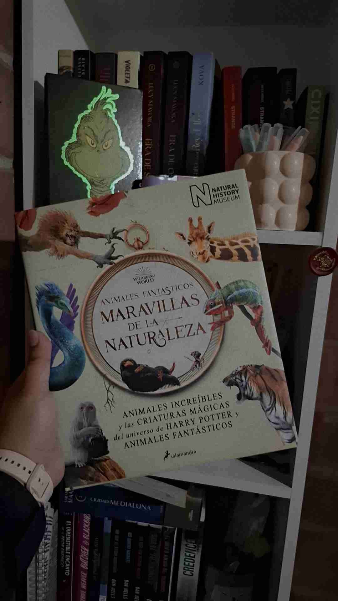 Libros varios - miniatura 4