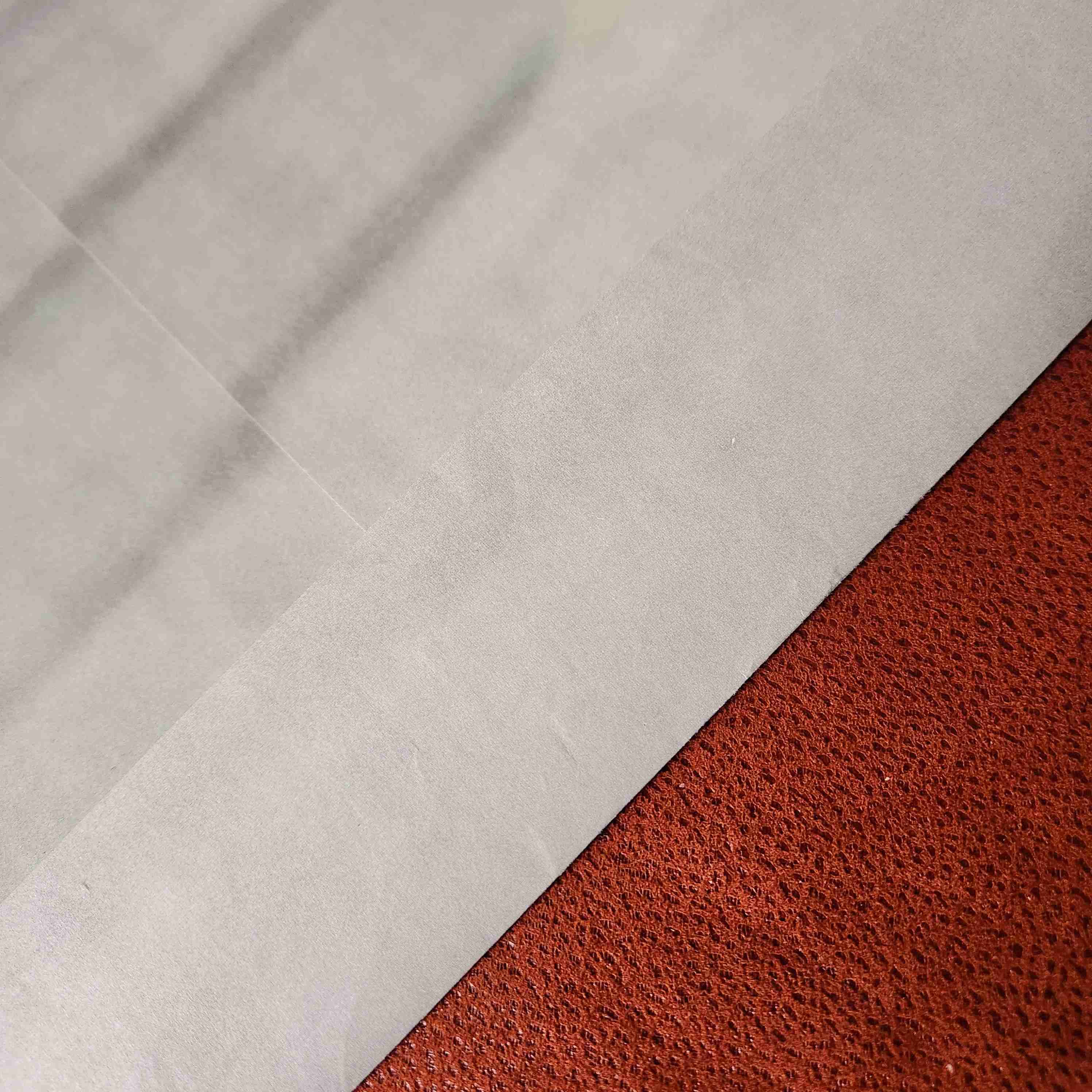 LITOGRAFIA DIsney BERNARDO Y BIANCA🐁🐀🇺🇸 - miniatura 6