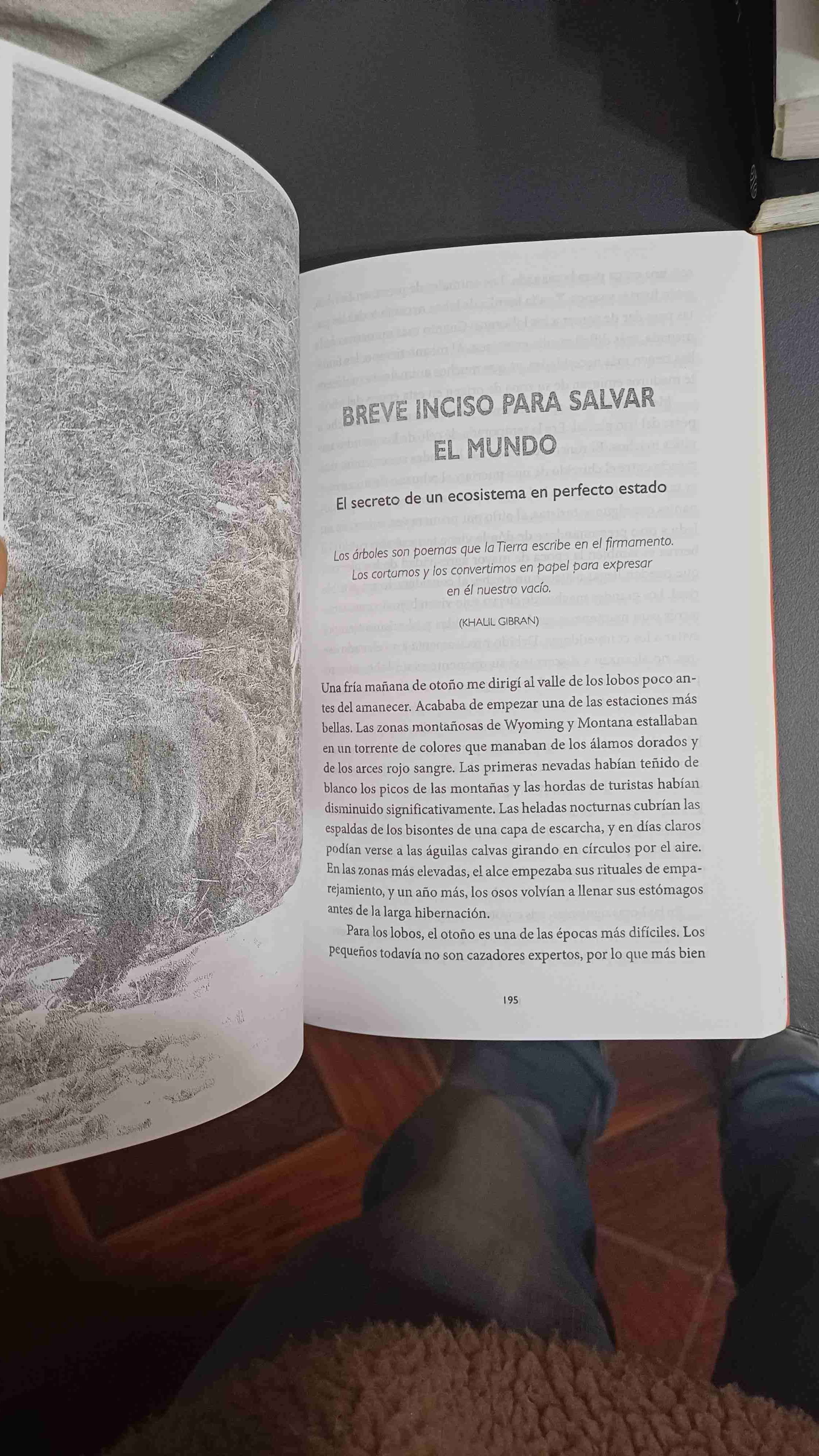 Libro 'La sabiduría de los lobos' - miniatura 2