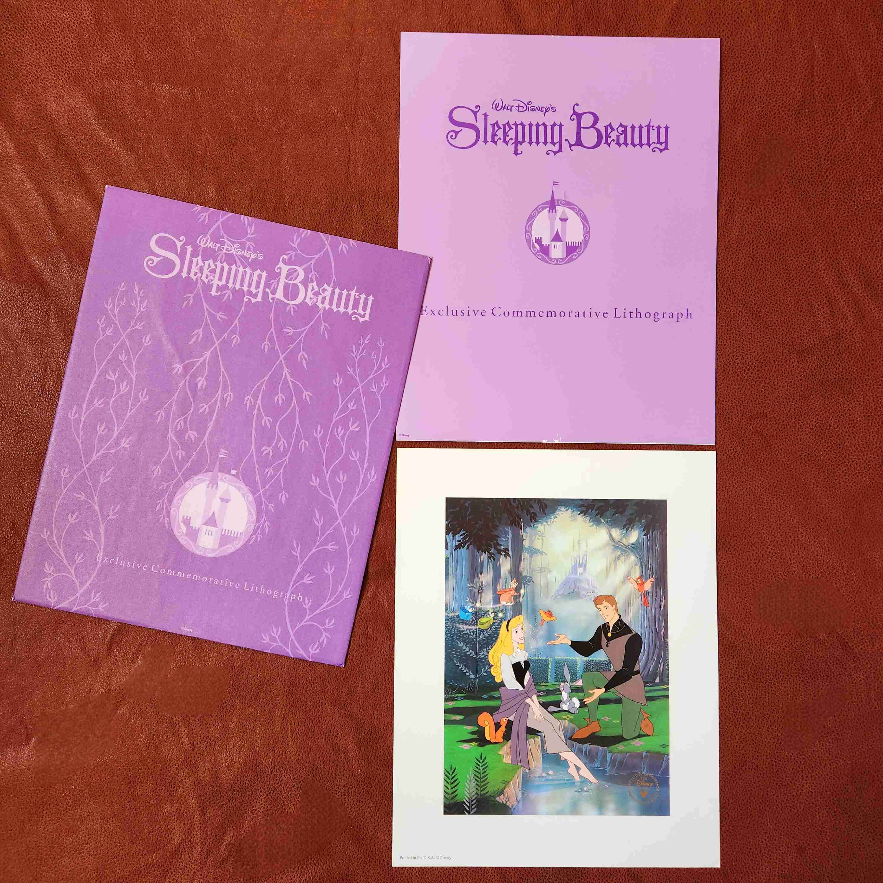 LITOGRAFIA DISNEY LA BELLA DURMIENTE 1997 🛌💤👑 - miniatura 1