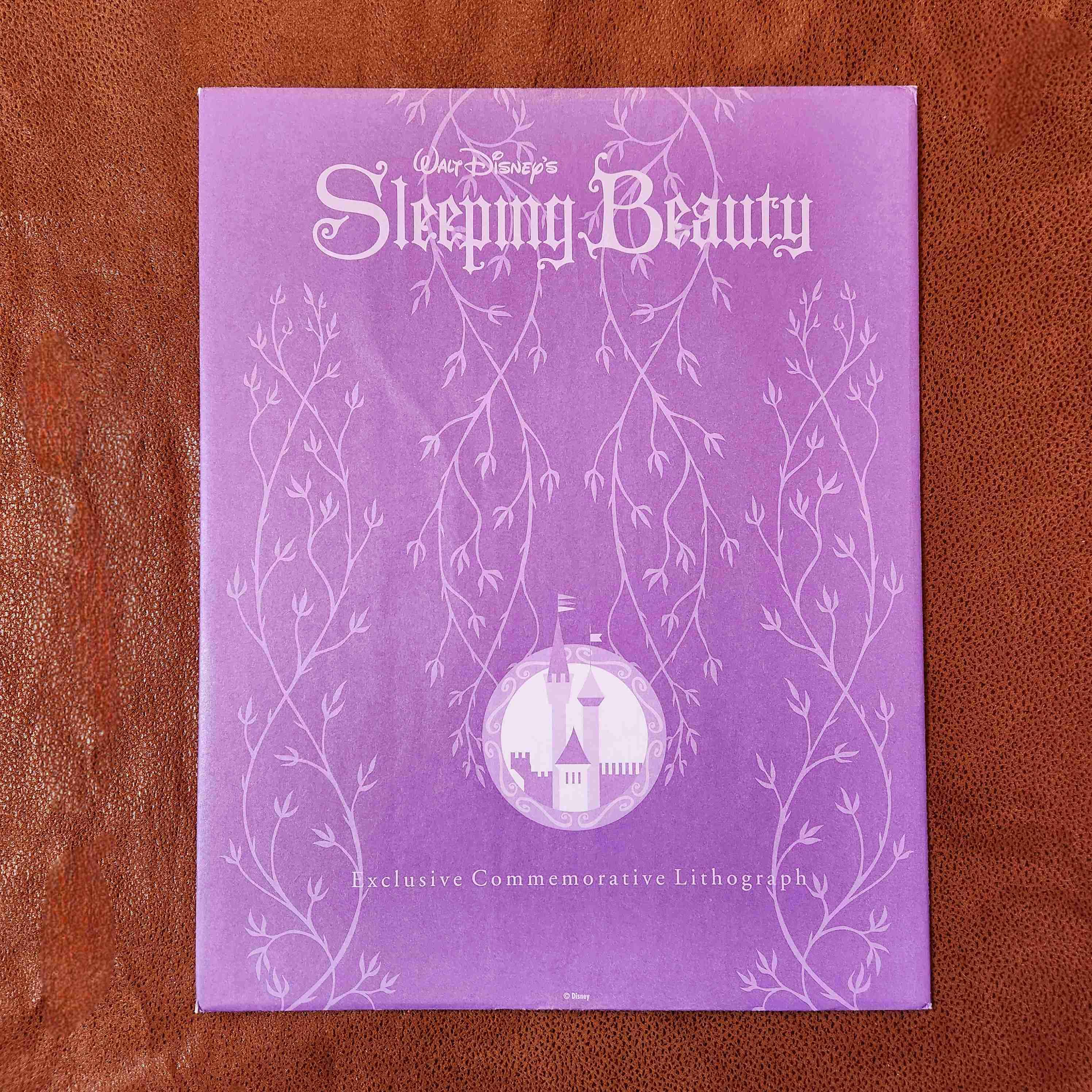 LITOGRAFIA DISNEY LA BELLA DURMIENTE 1997 🛌💤👑 - miniatura 2