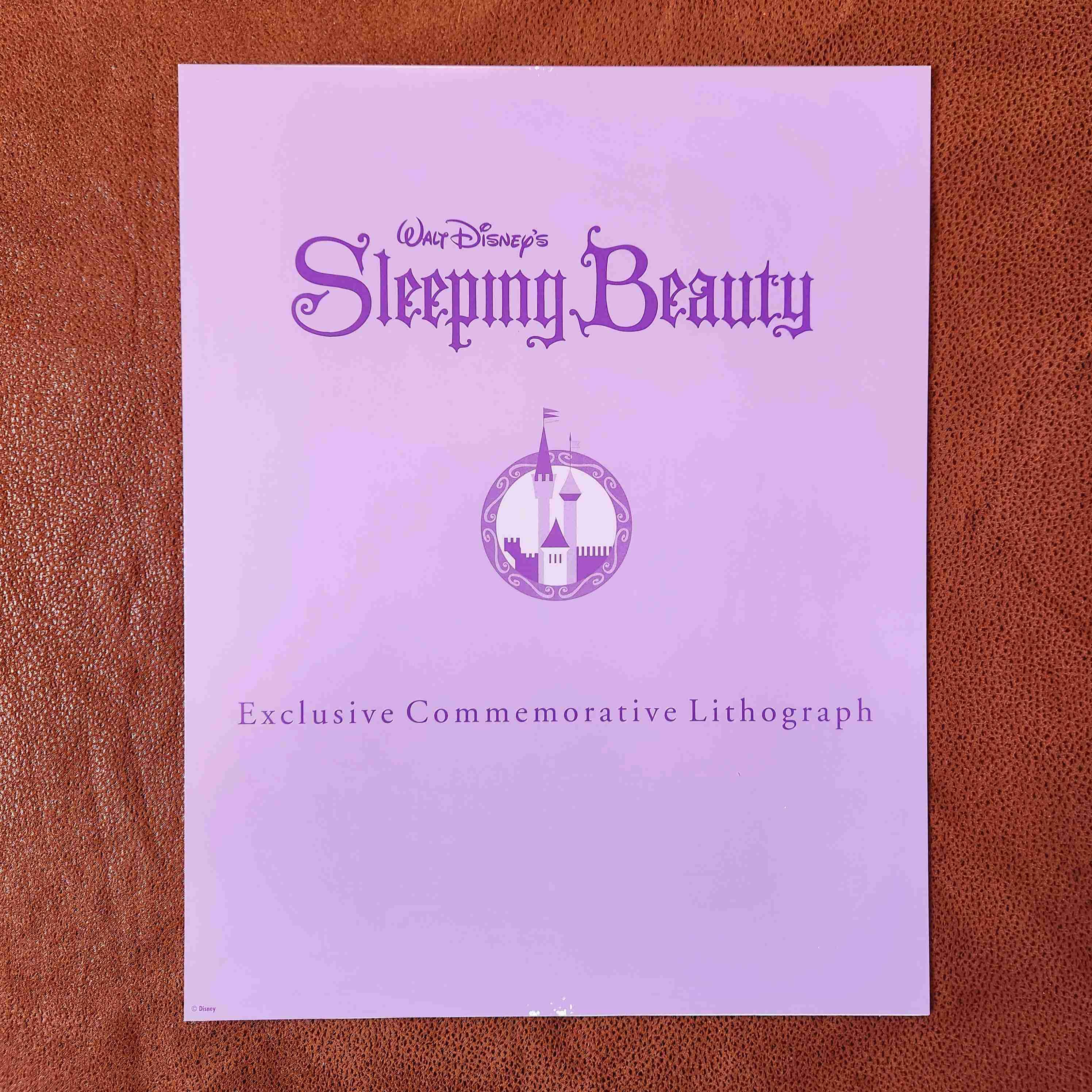 LITOGRAFIA DISNEY LA BELLA DURMIENTE 1997 🛌💤👑 - miniatura 4