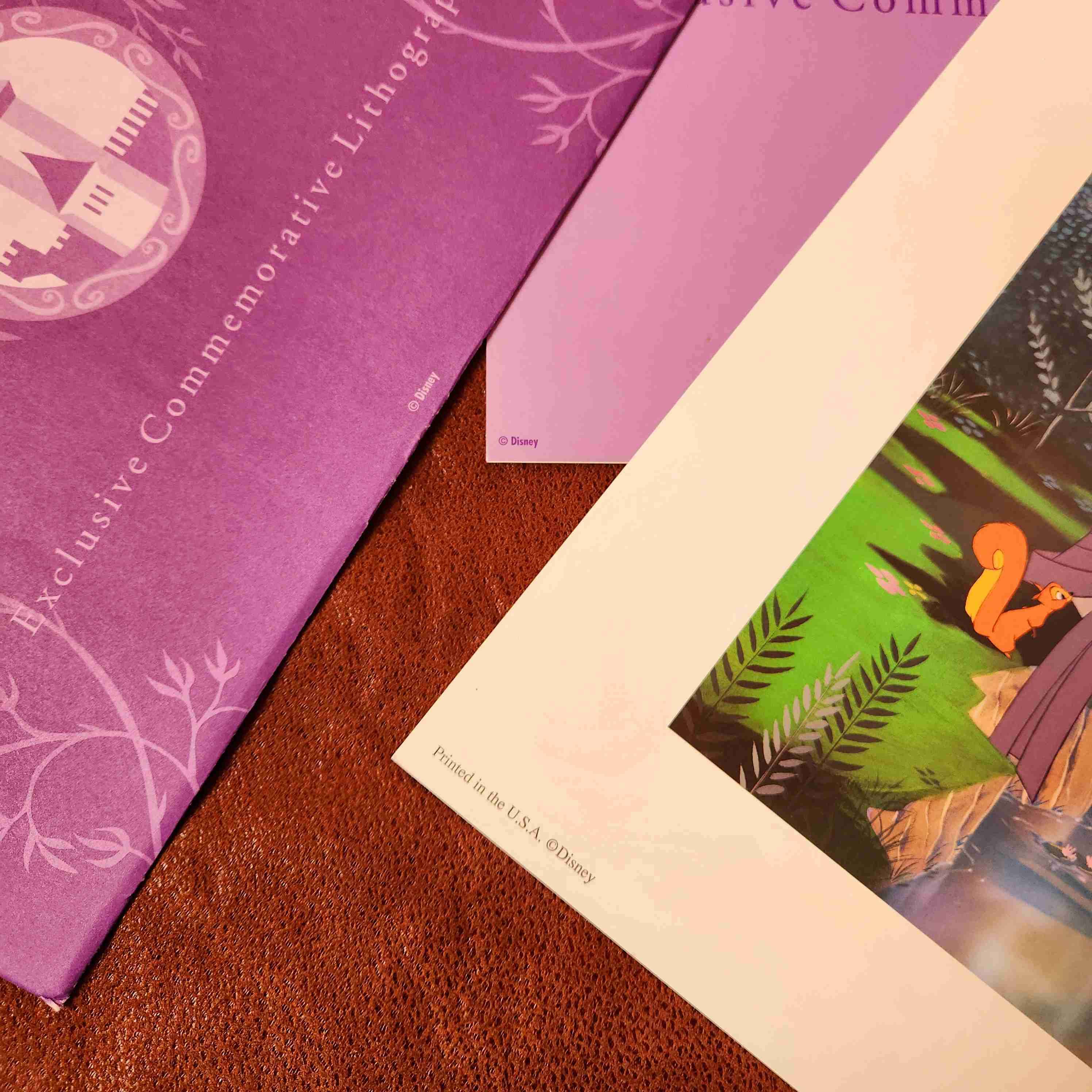 LITOGRAFIA DISNEY LA BELLA DURMIENTE 1997 🛌💤👑 - miniatura 6