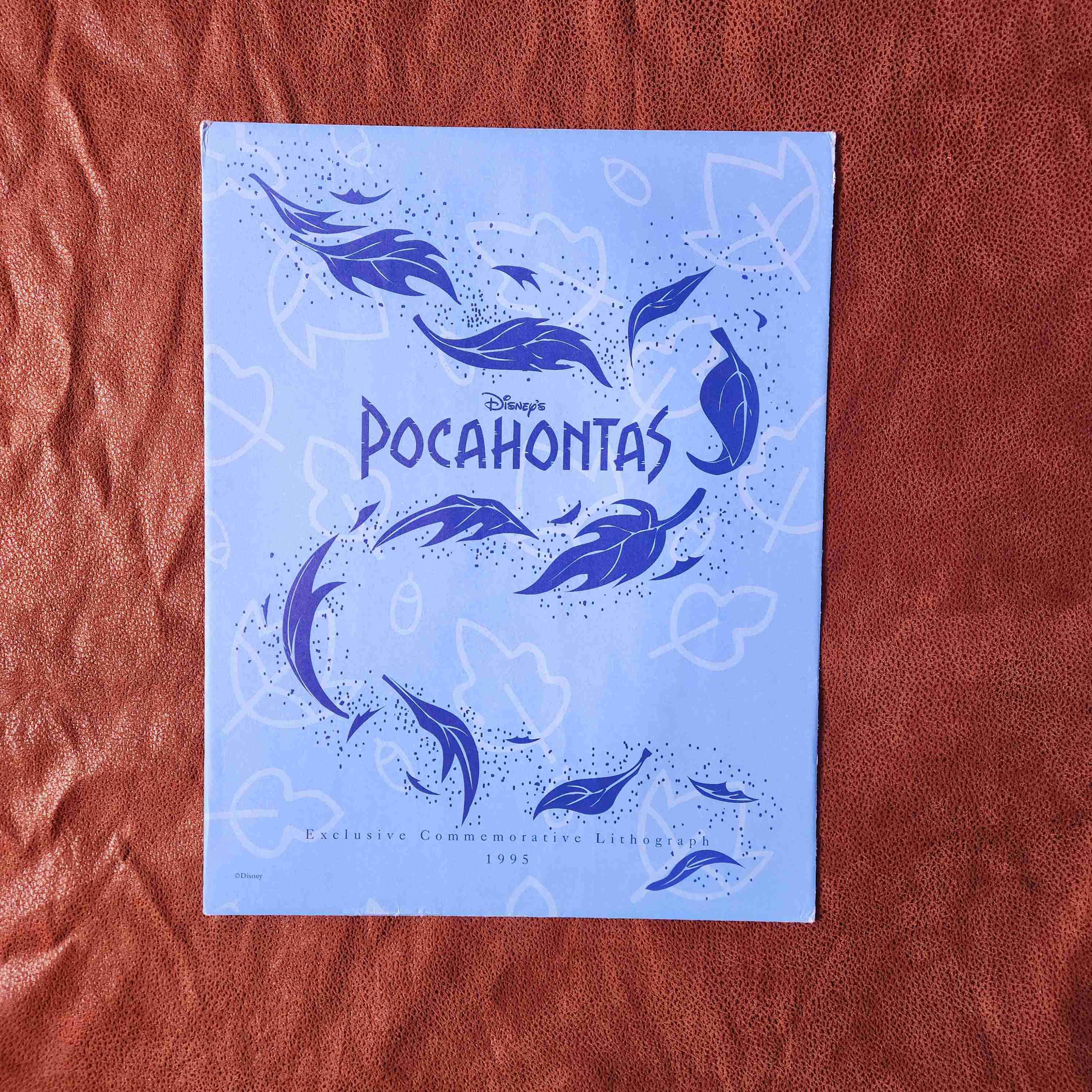 LITOGRAFIA disney POCAHONTAS 1995🦝🌳🍃 - miniatura 2