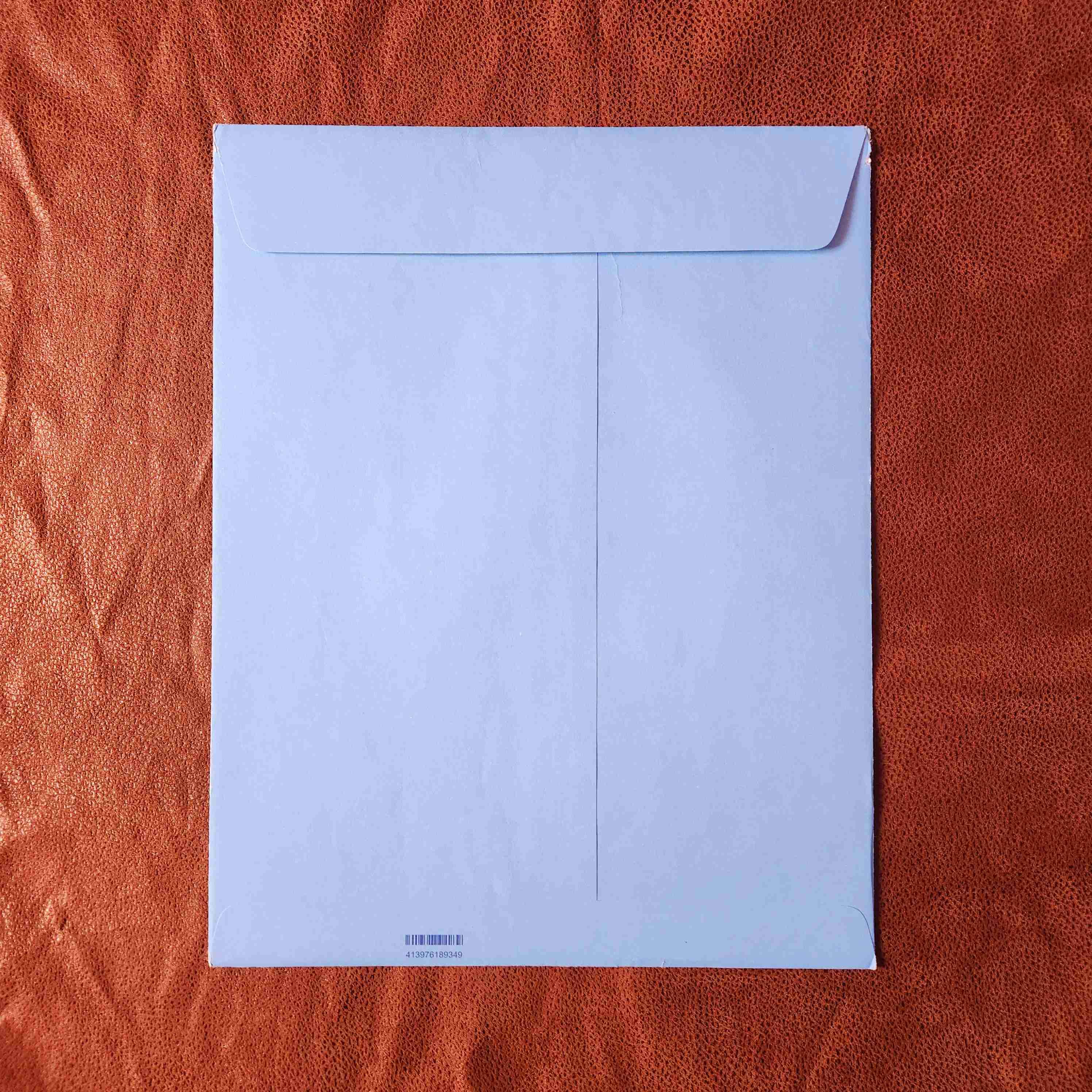 LITOGRAFIA disney POCAHONTAS 1995🦝🌳🍃 - miniatura 3