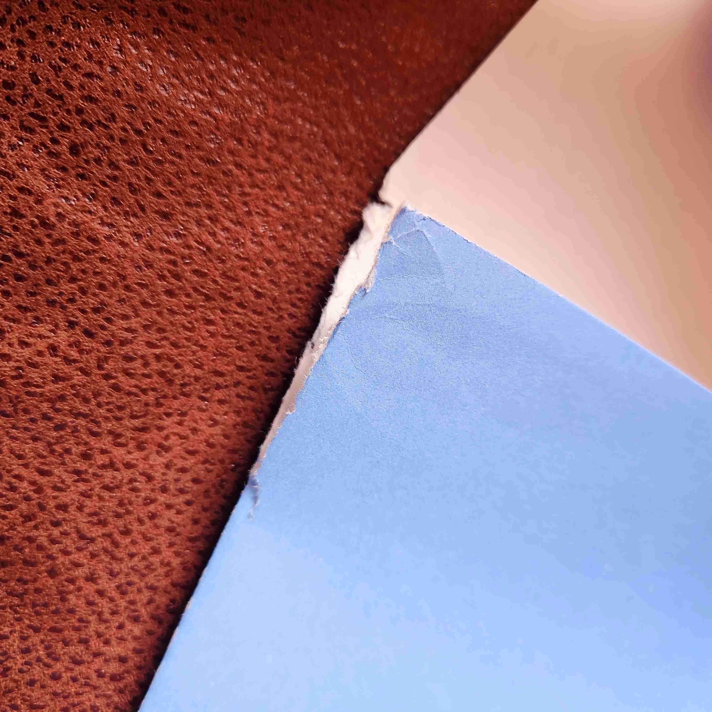 LITOGRAFIA disney POCAHONTAS 1995🦝🌳🍃 - miniatura 5