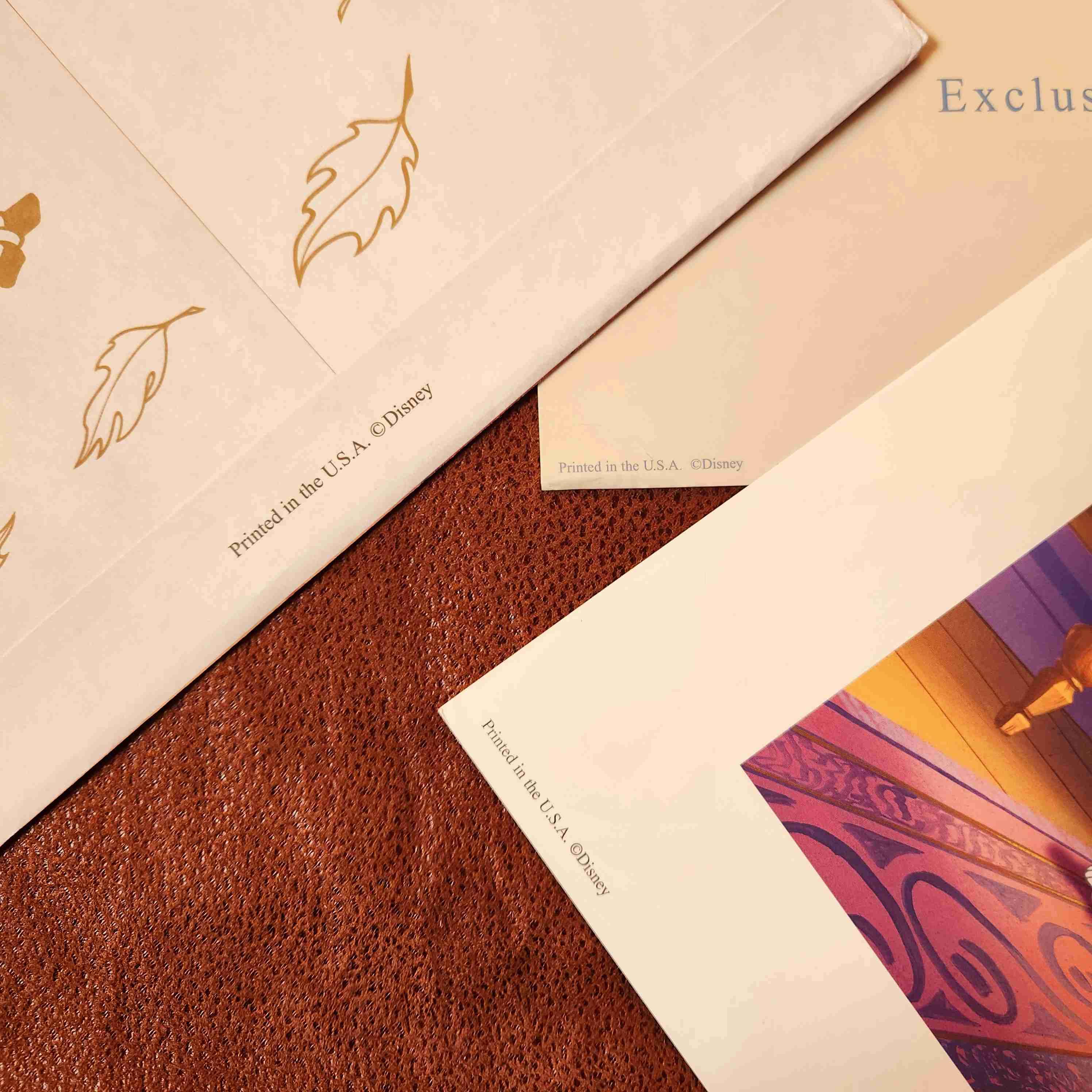 LITOGRAFIA DISNEY POCAHONTAS II 1998 🦝🍃 - miniatura 6