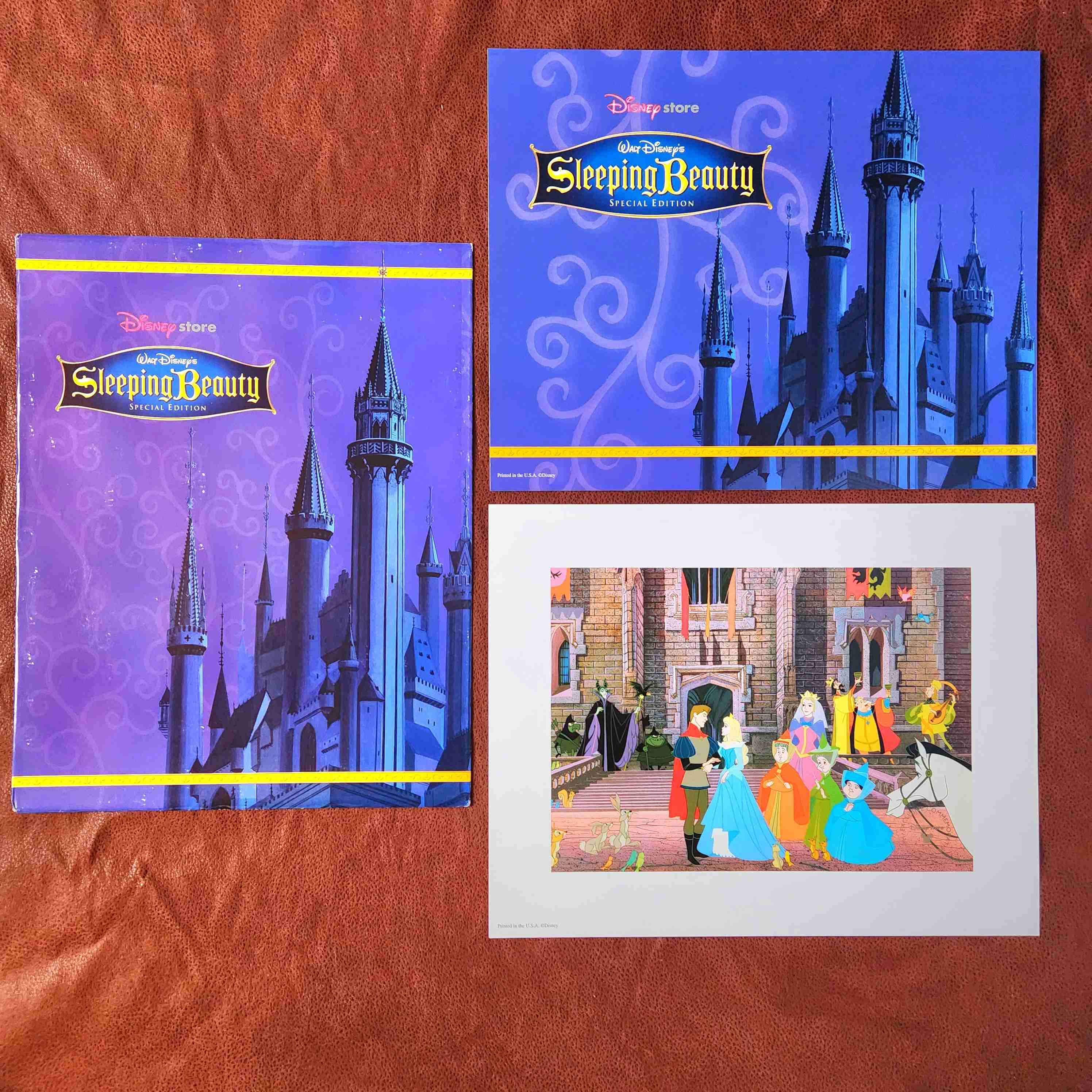 LITOGRAFIA EDICIÓN ESPECIAL BELLA DURMIENTE 💤👸🏼🧚‍♂️🧚🏽‍♀️🧚🏼 - miniatura 1