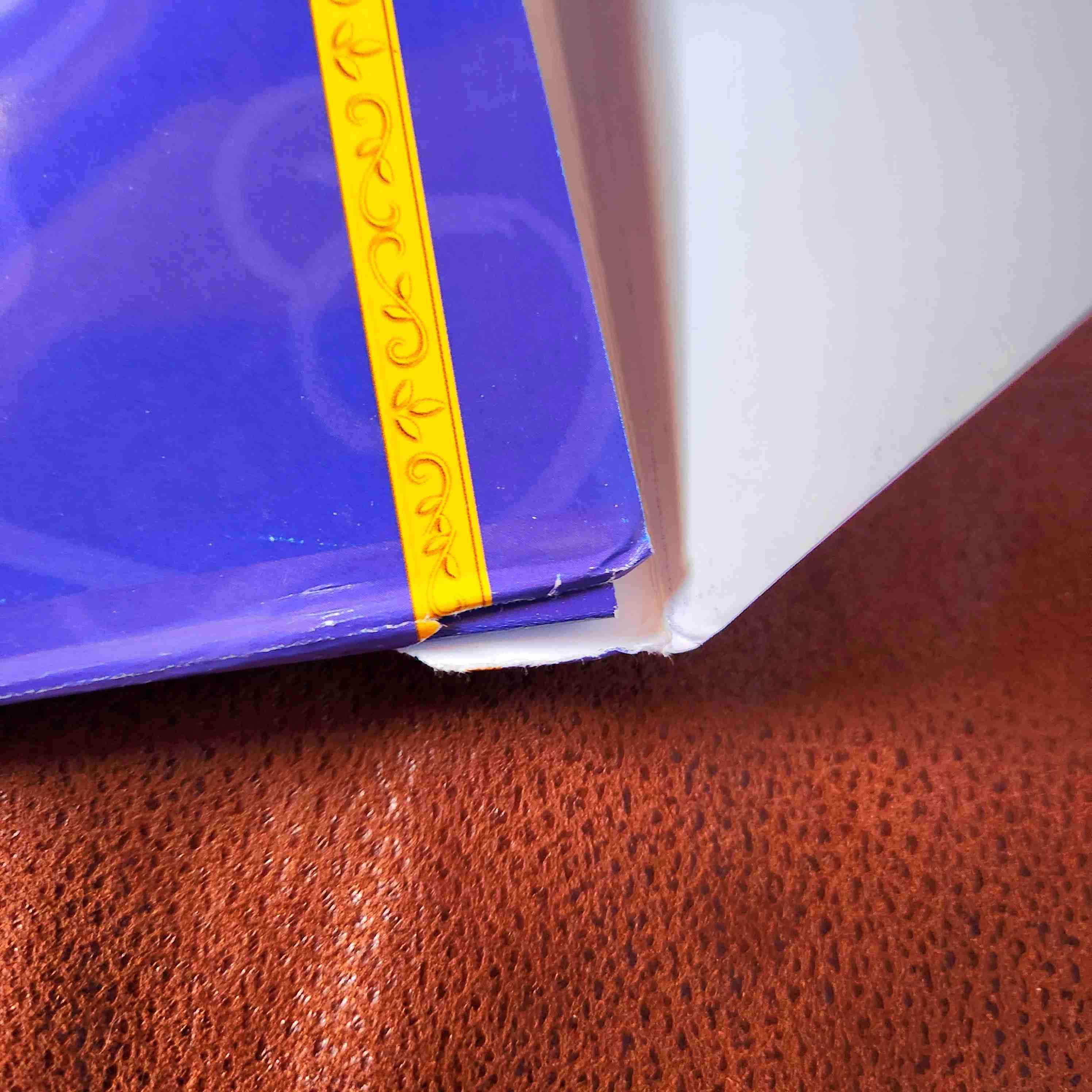 LITOGRAFIA EDICIÓN ESPECIAL BELLA DURMIENTE 💤👸🏼🧚‍♂️🧚🏽‍♀️🧚🏼 - miniatura 5