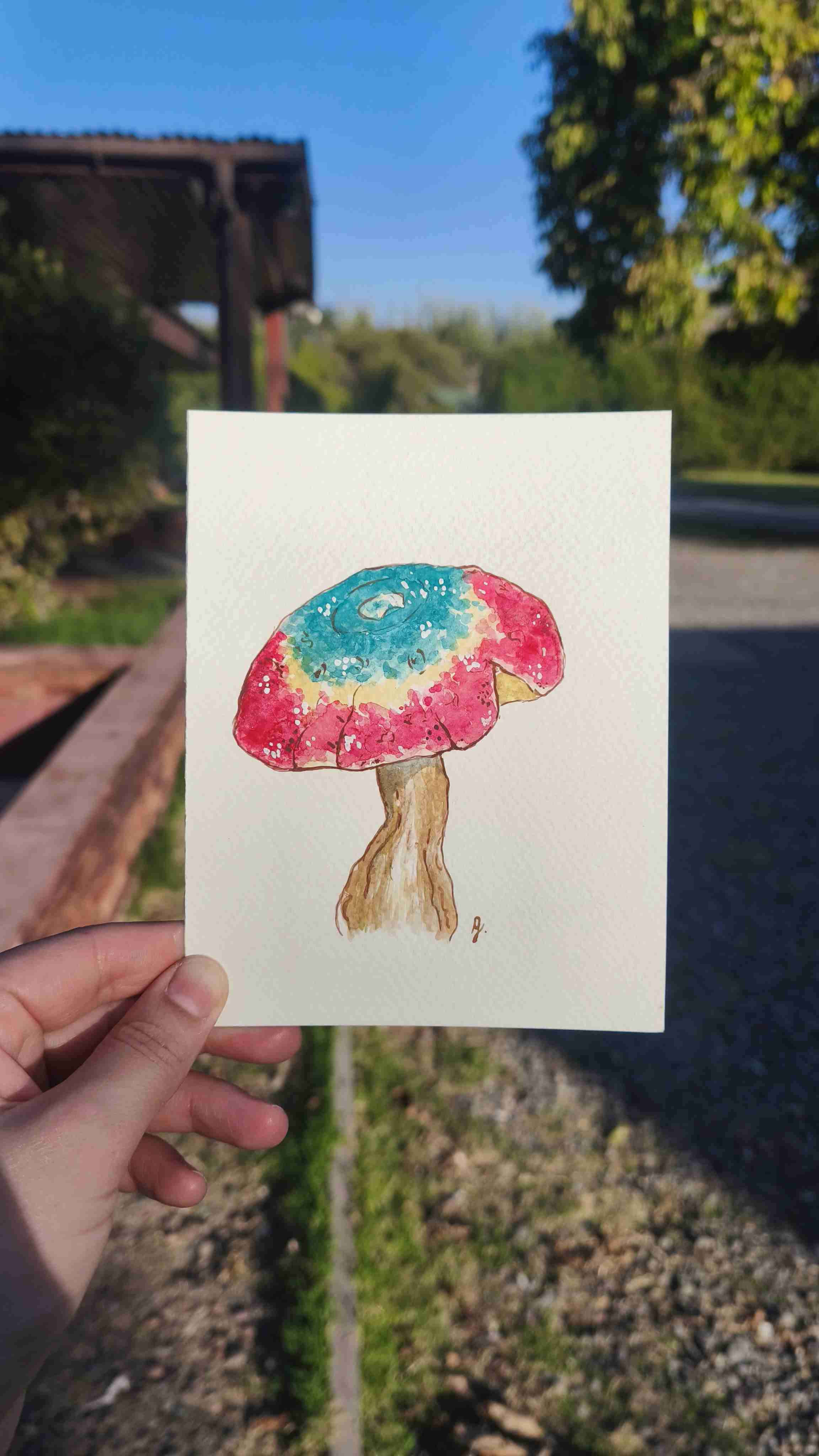 Pack de 6 Prints de hongos en acuarela + stickers - miniatura 3