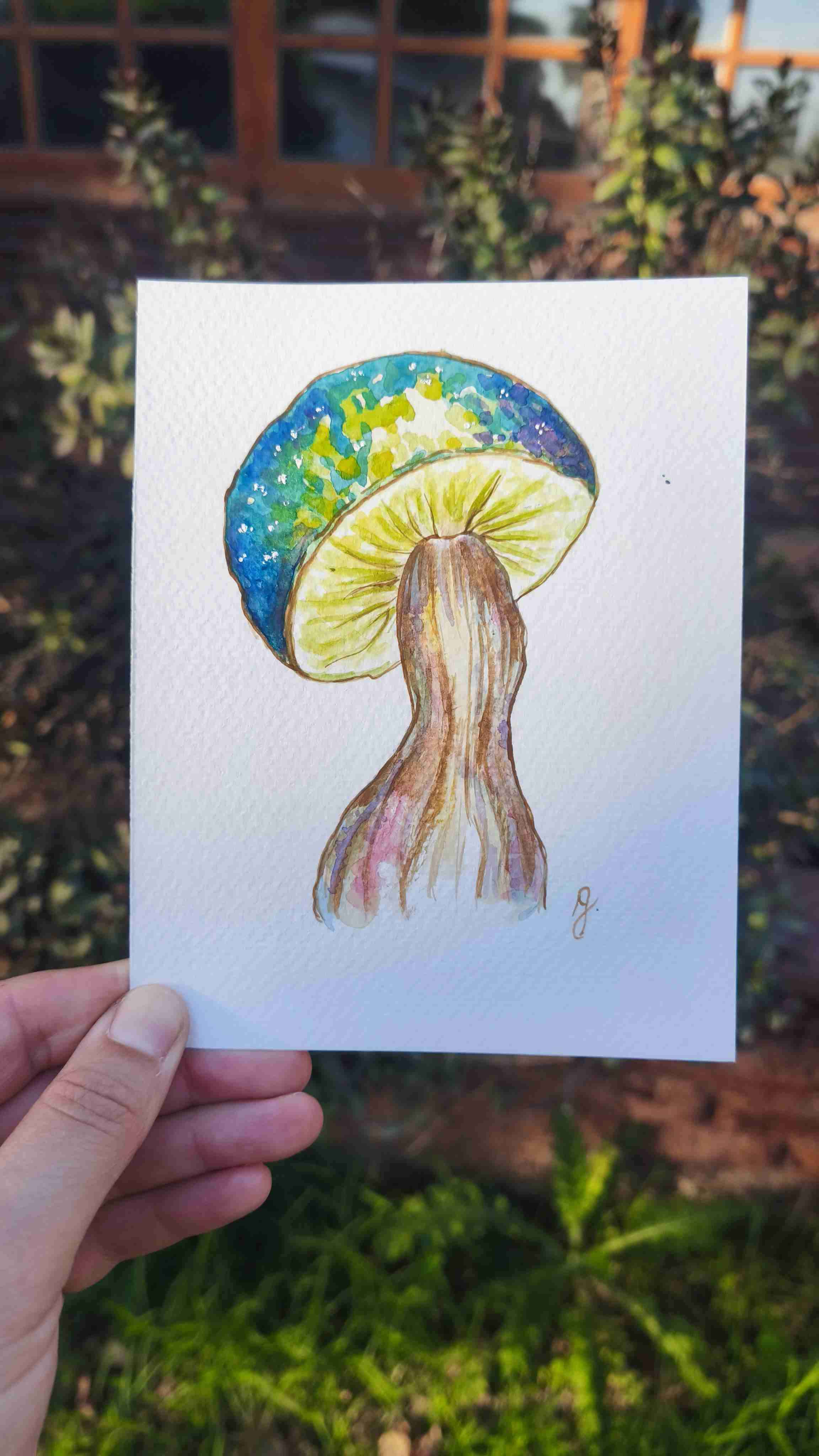 Pack de 6 Prints de hongos en acuarela + stickers - miniatura 4