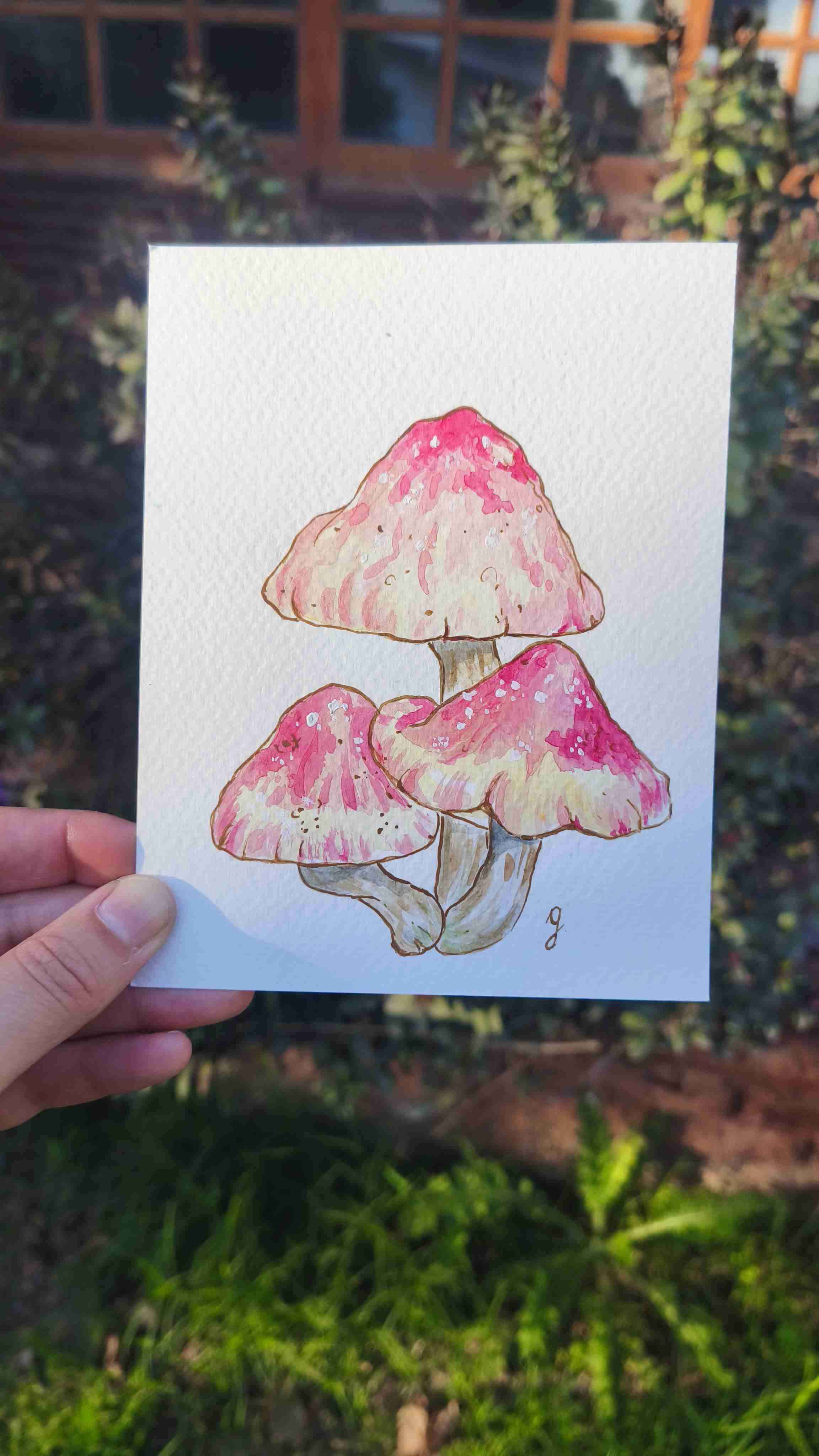 Pack de 6 Prints de hongos en acuarela + stickers - miniatura 5