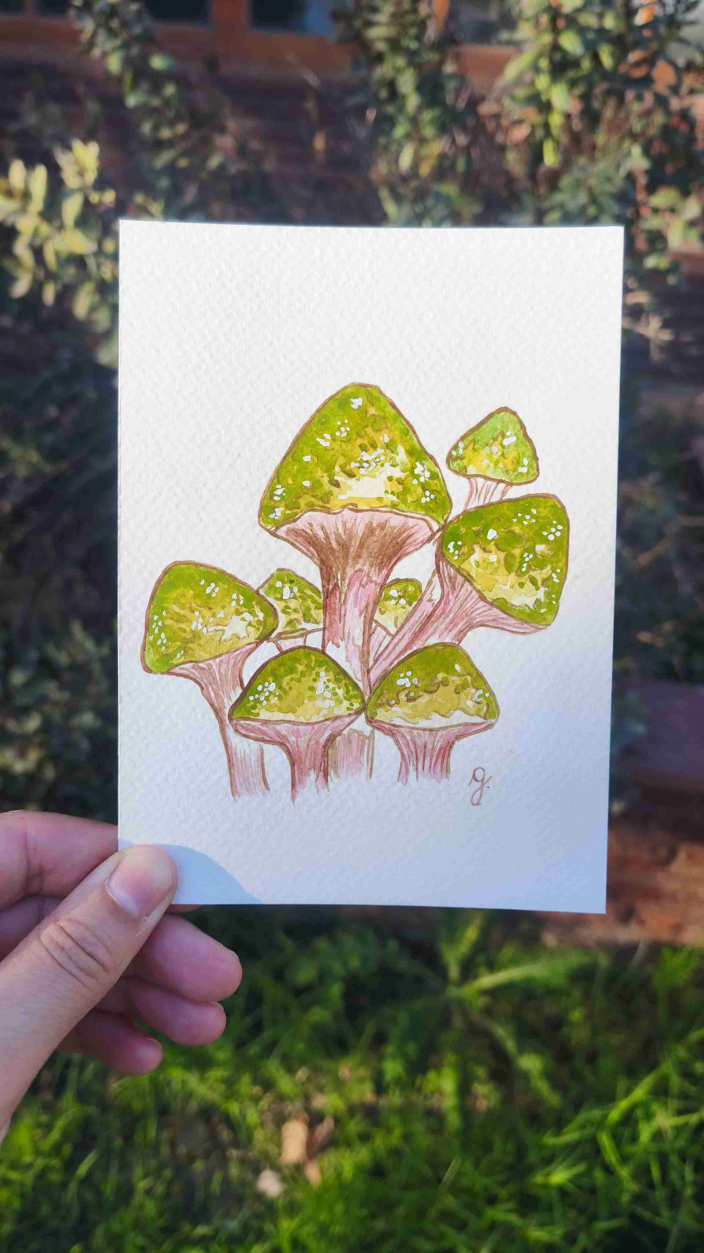 Pack de 6 Prints de hongos en acuarela + stickers - miniatura 6