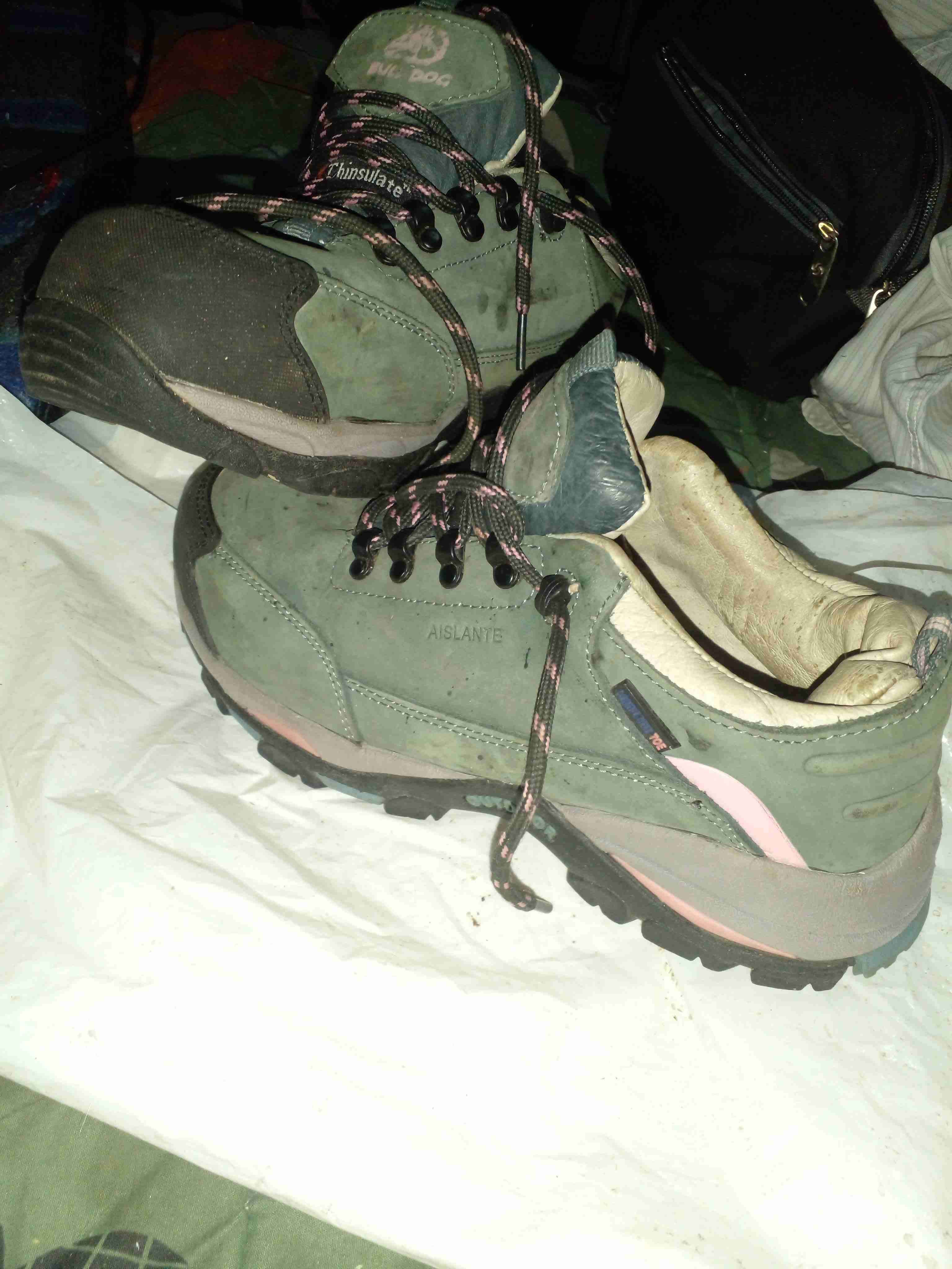 Botín de seguridad Bull-Dog - miniatura 2