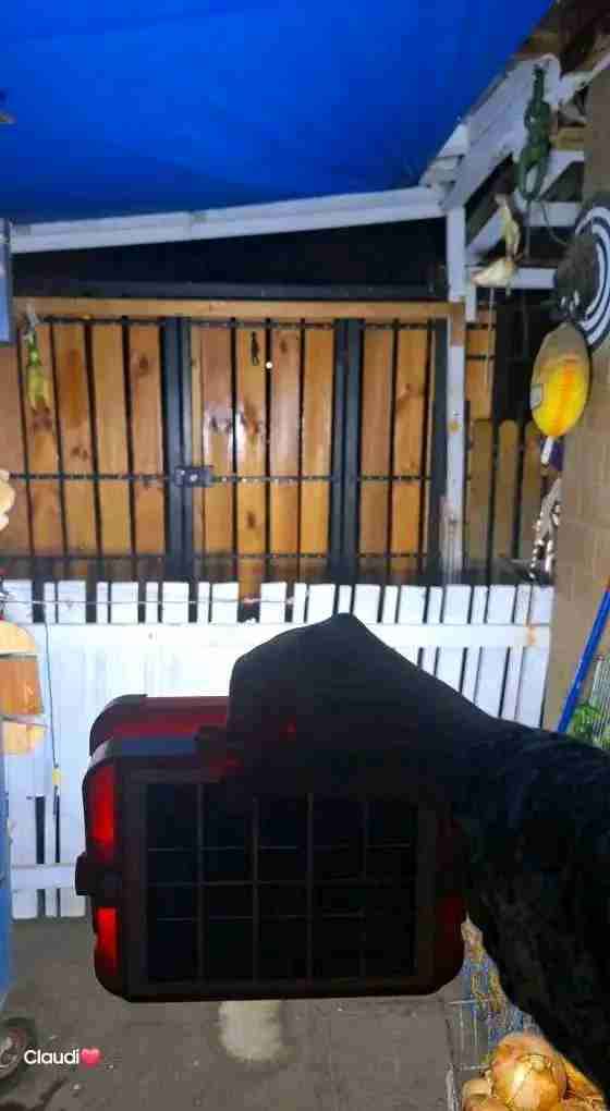 Reflector LED IP66 - miniatura 2