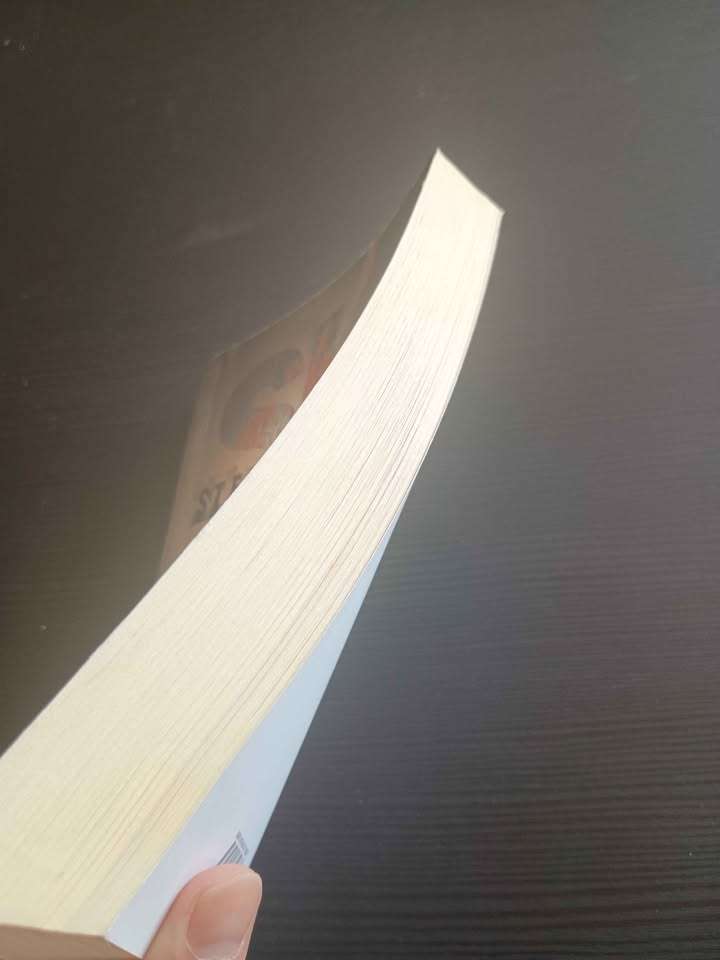 Libro Stephen King 'Maleficio' - miniatura 2