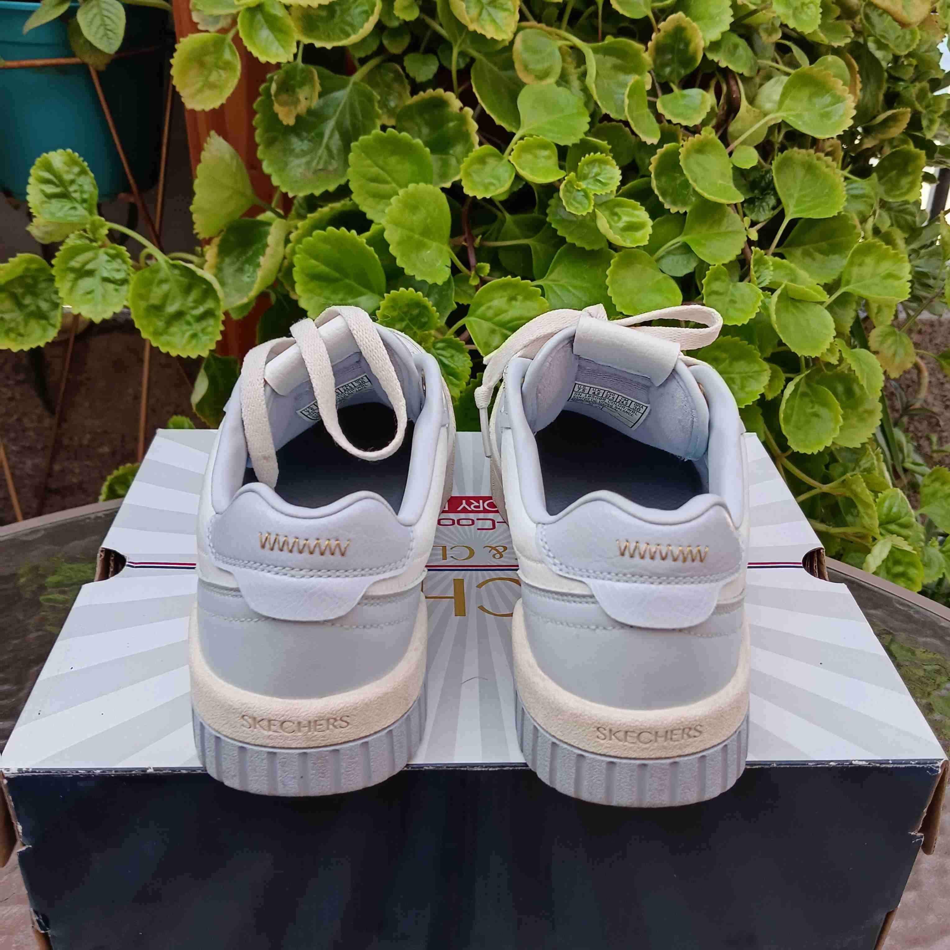 TALLA 38 Skechers Blanco + Celeste 🧚 - miniatura 2