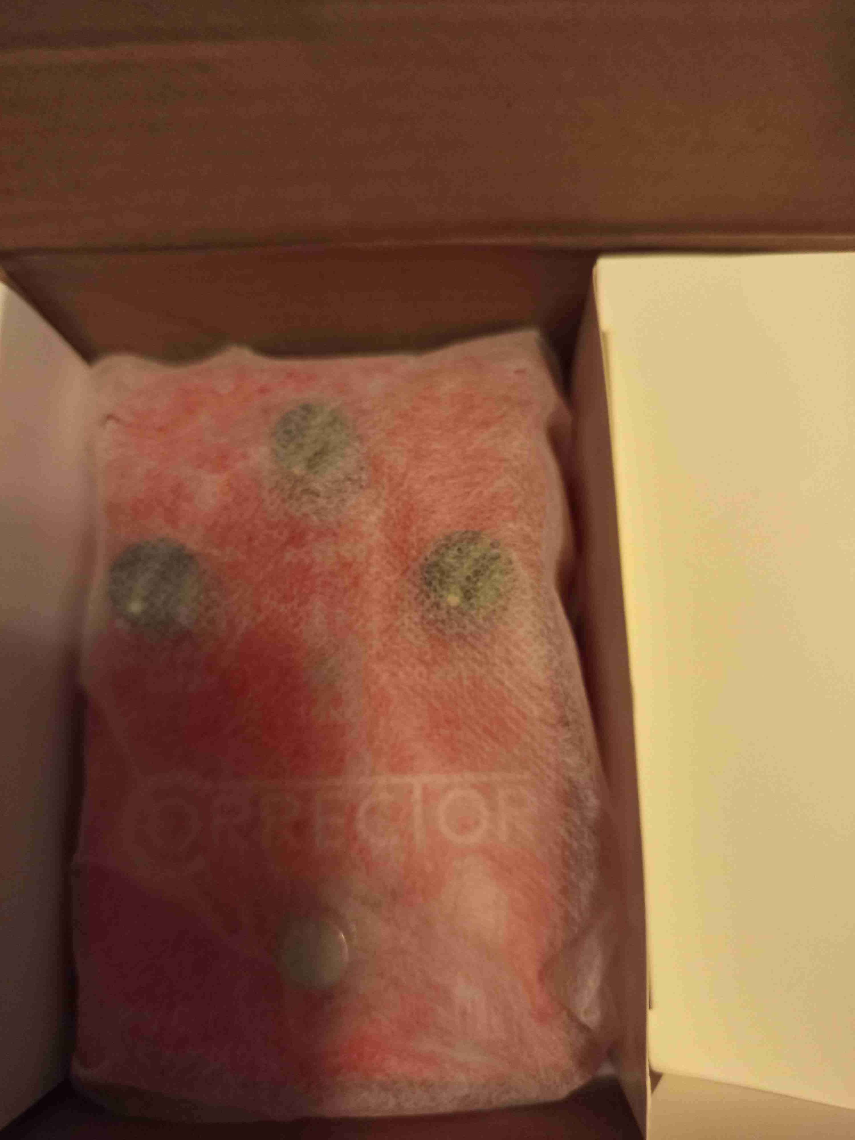 Pedal de voz  Flamma FV01 Corrector - miniatura 2