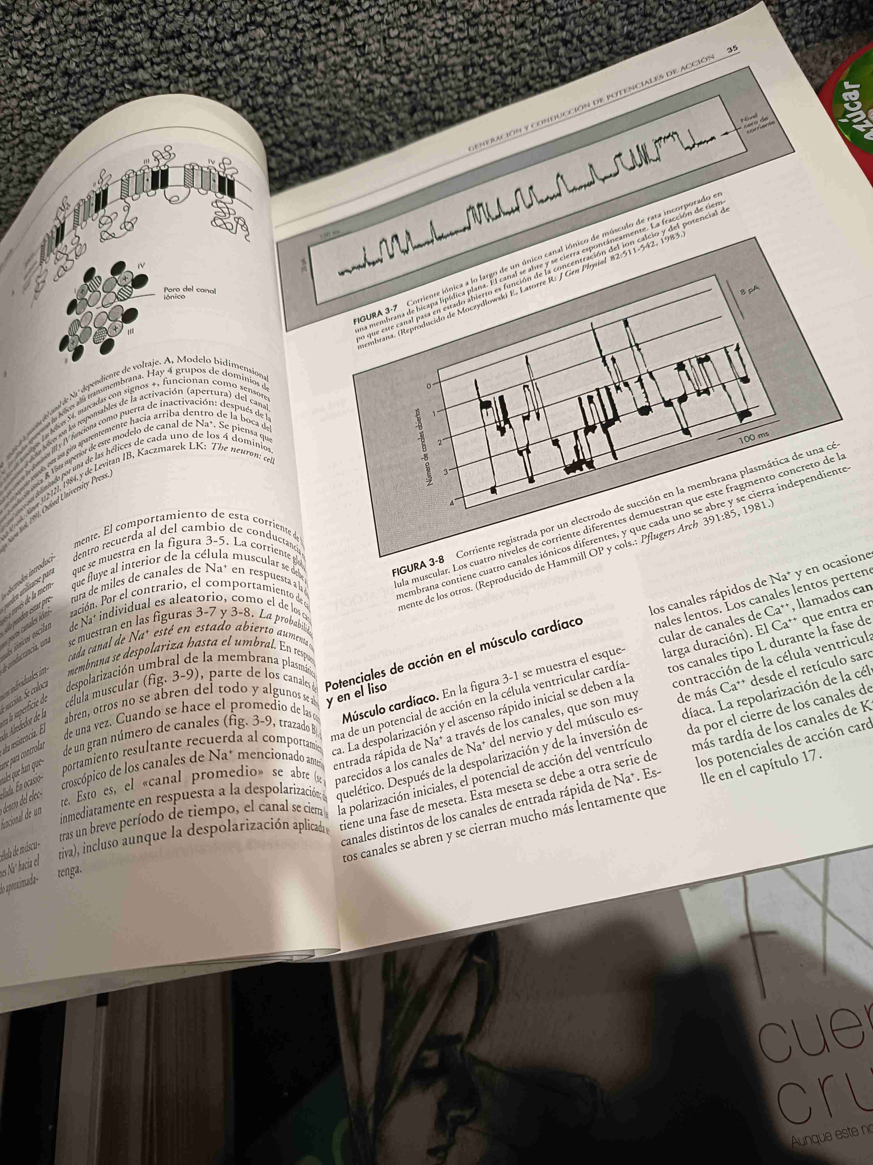 Libro Fisiología Segunda Edición - miniatura 3