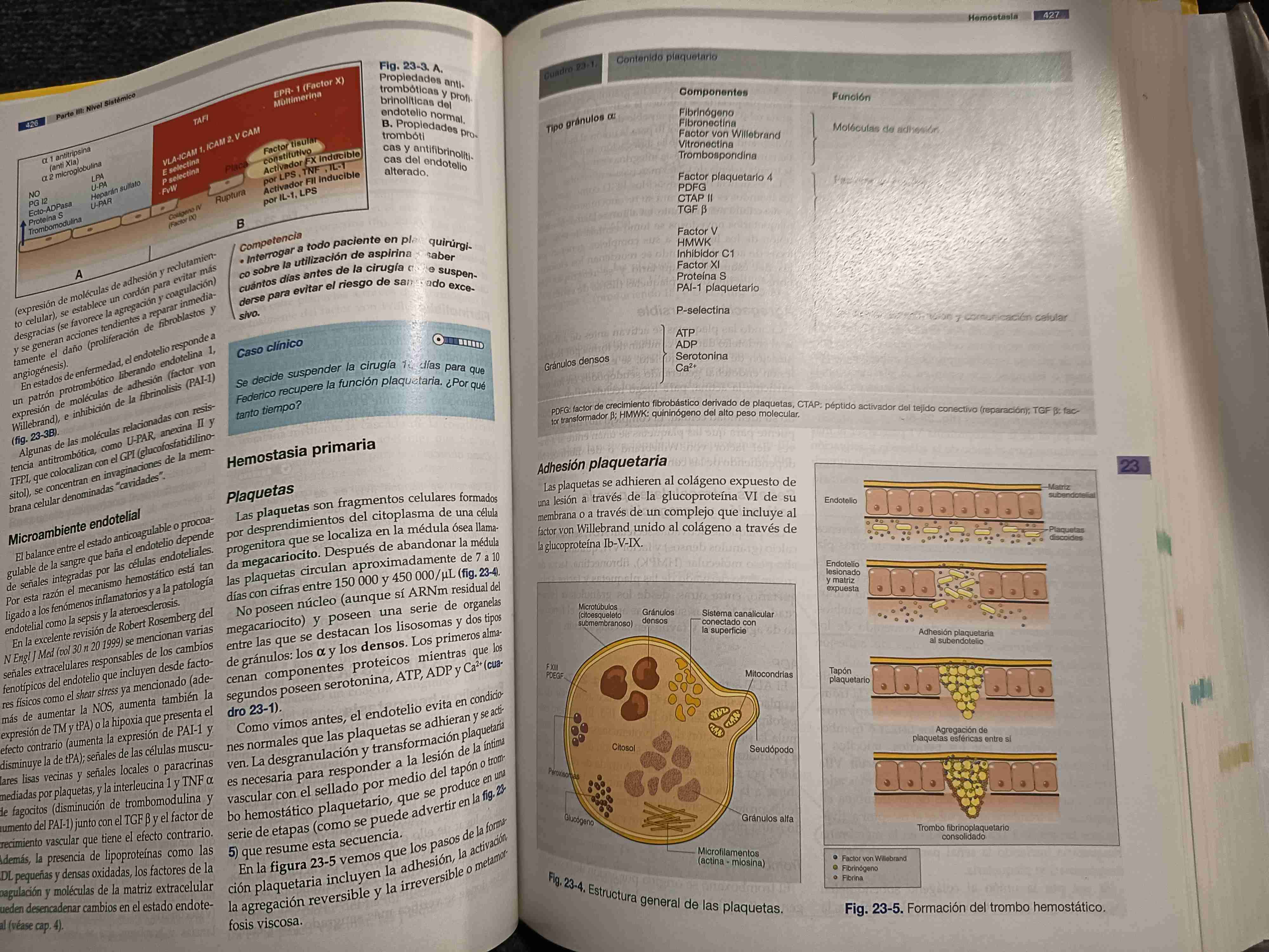 Libro Bases Fisiológicas Práctica Médica - miniatura 4