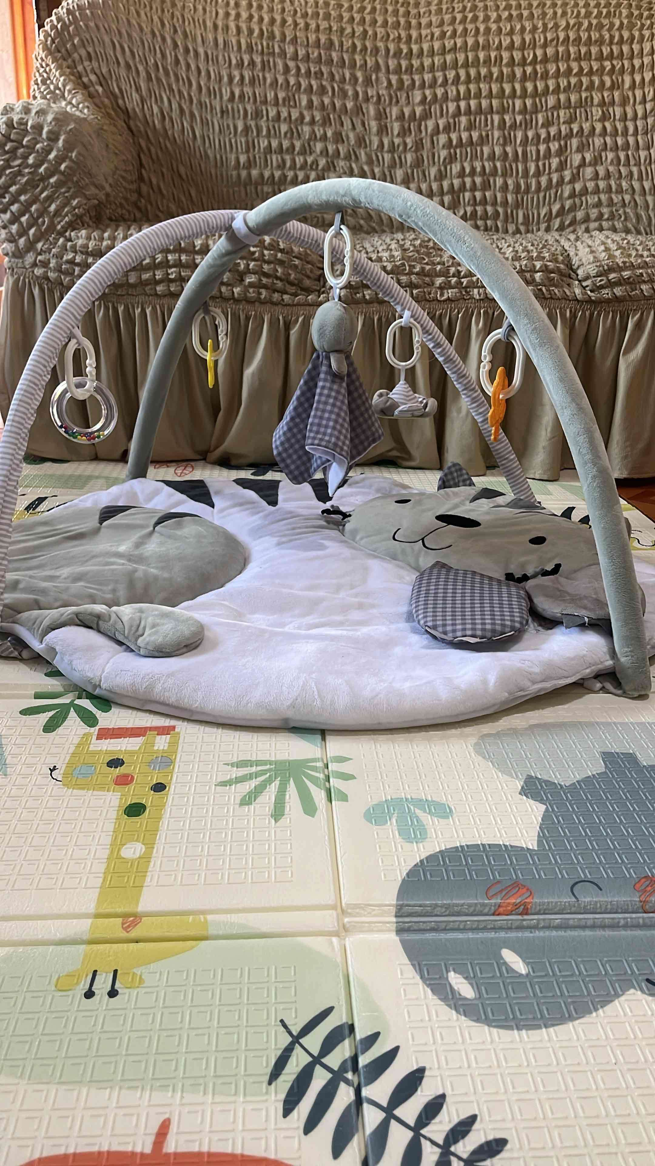 Gimnasio Didáctico Carestino - miniatura 1