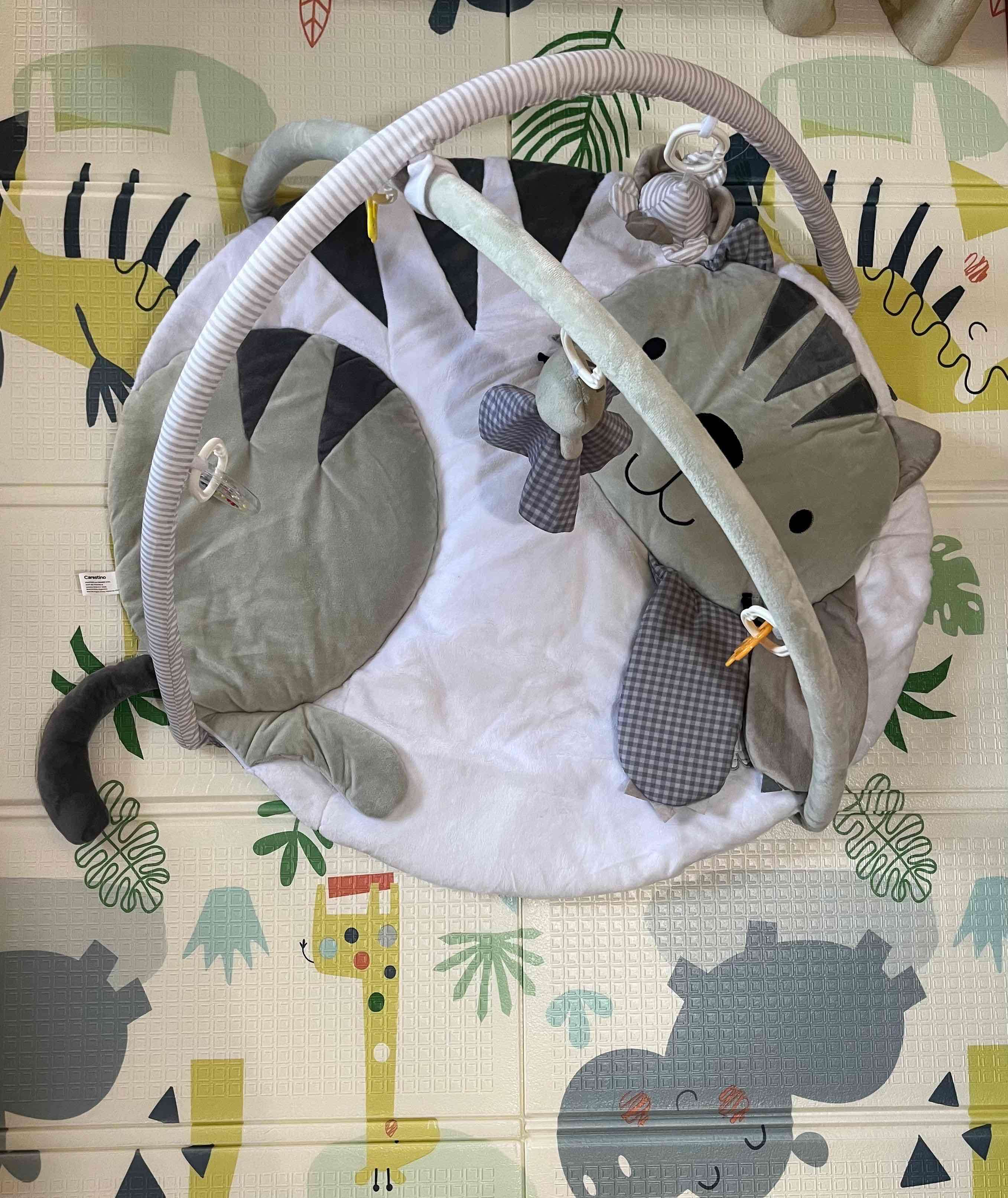 Gimnasio Didáctico Carestino - miniatura 2