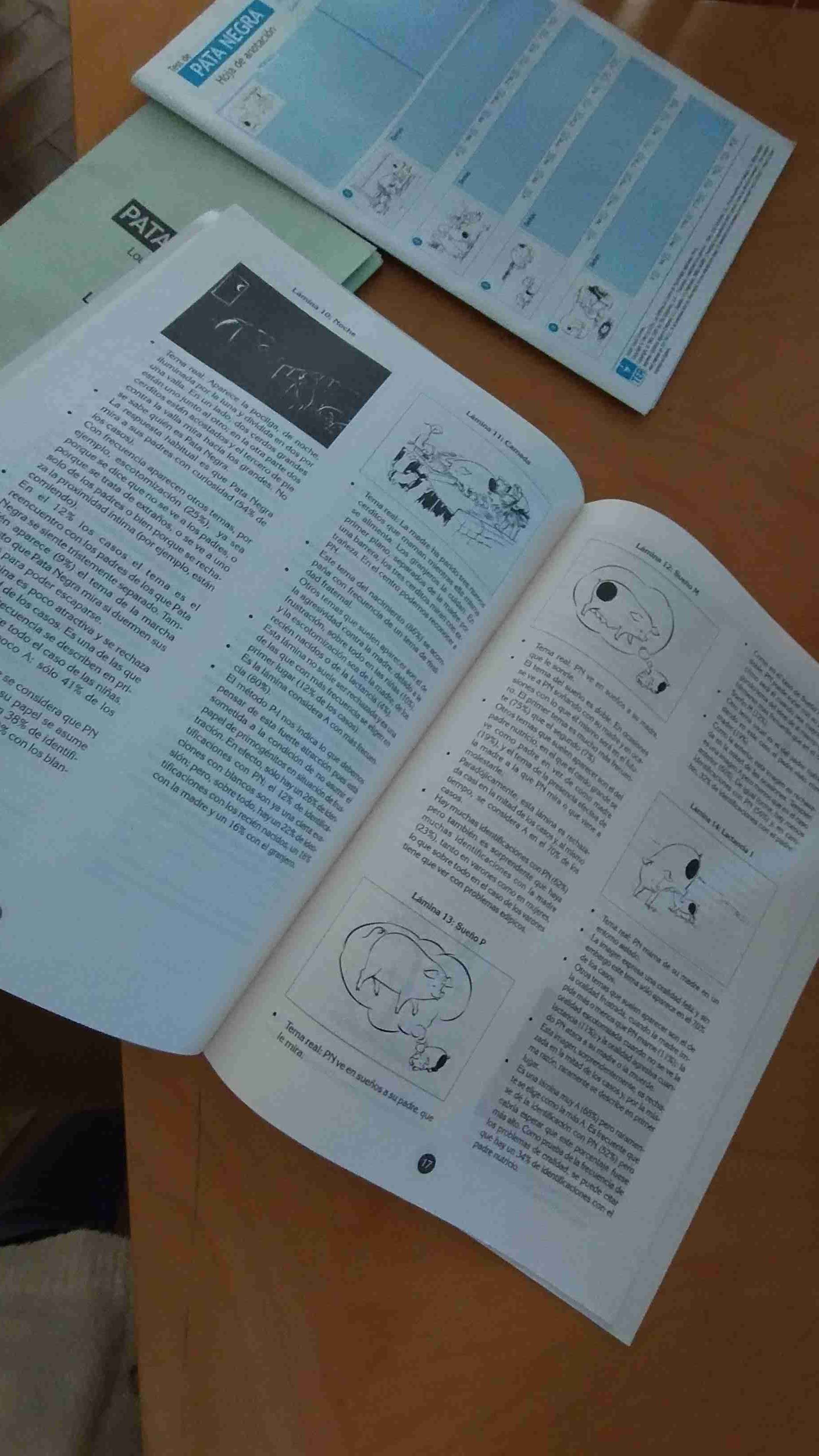 Test - Libro Pata Negra+  Láminas - miniatura 3