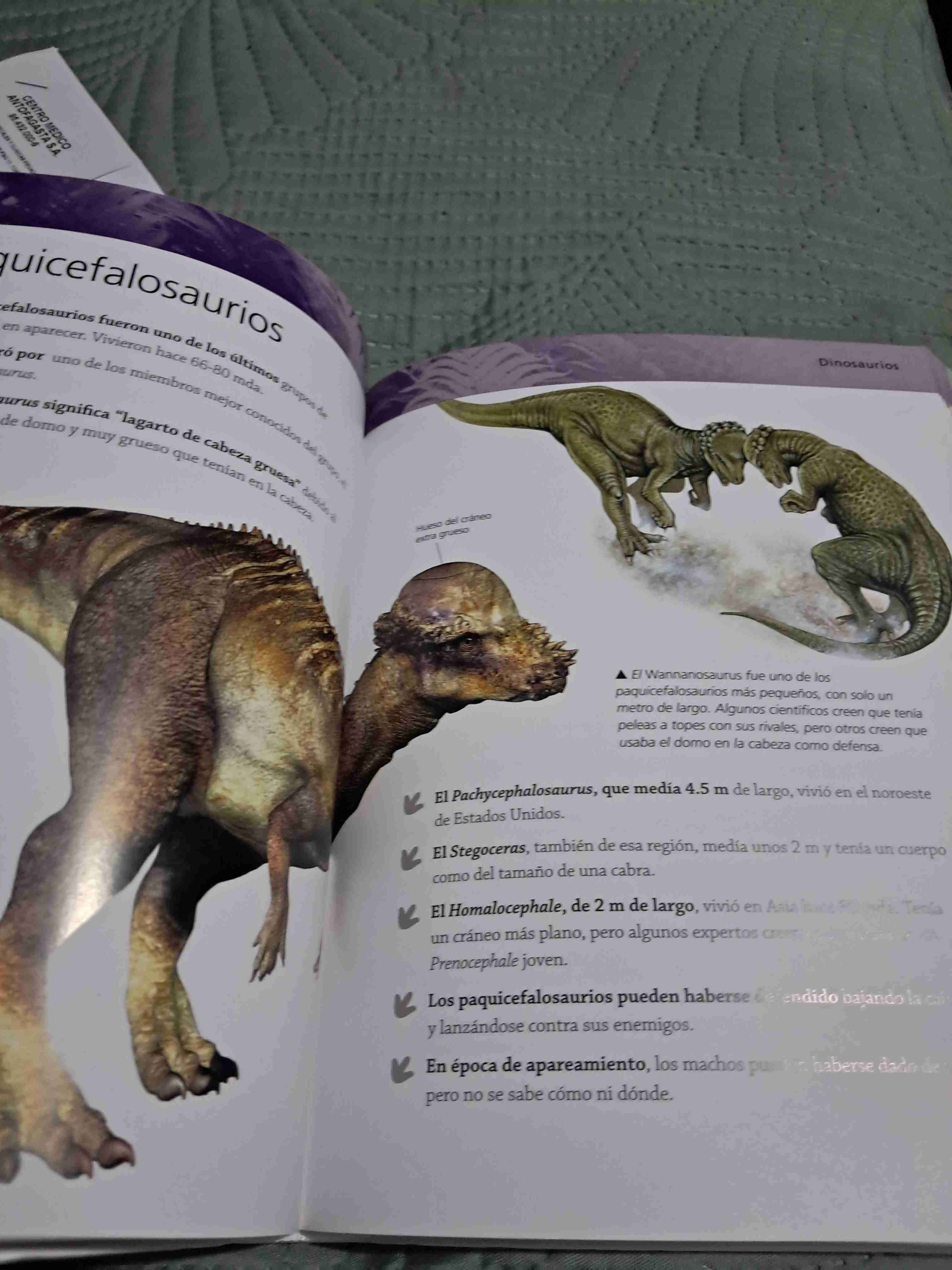 Enciclopedia de Dinosaurios - miniatura 2