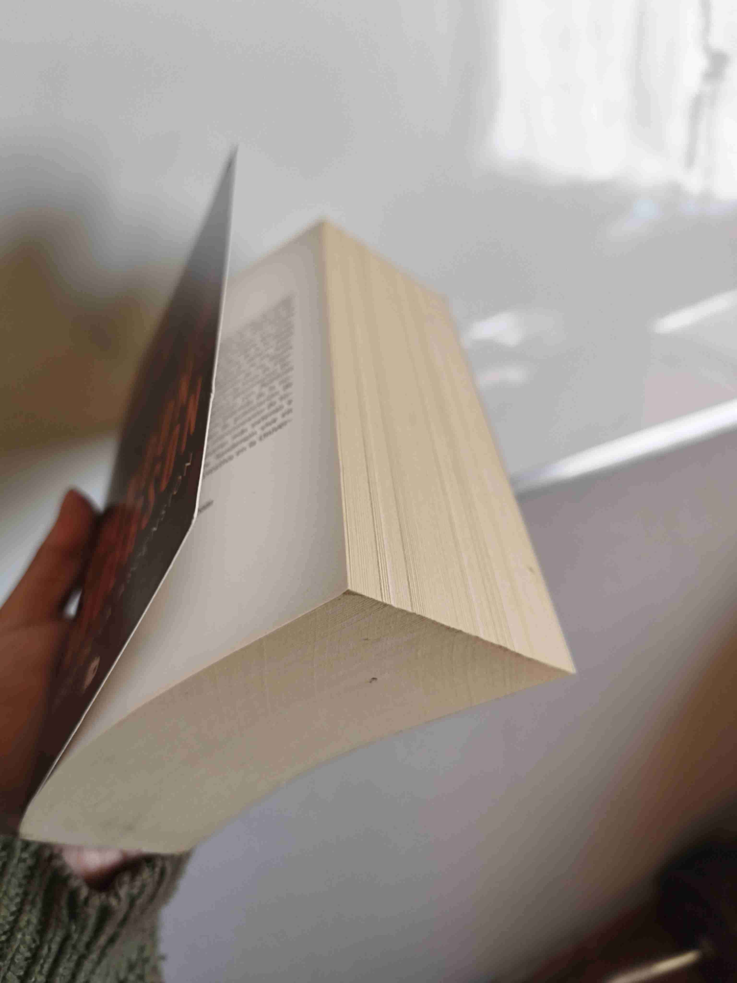 Libro 'El Pozo de la Ascensión' - miniatura 2