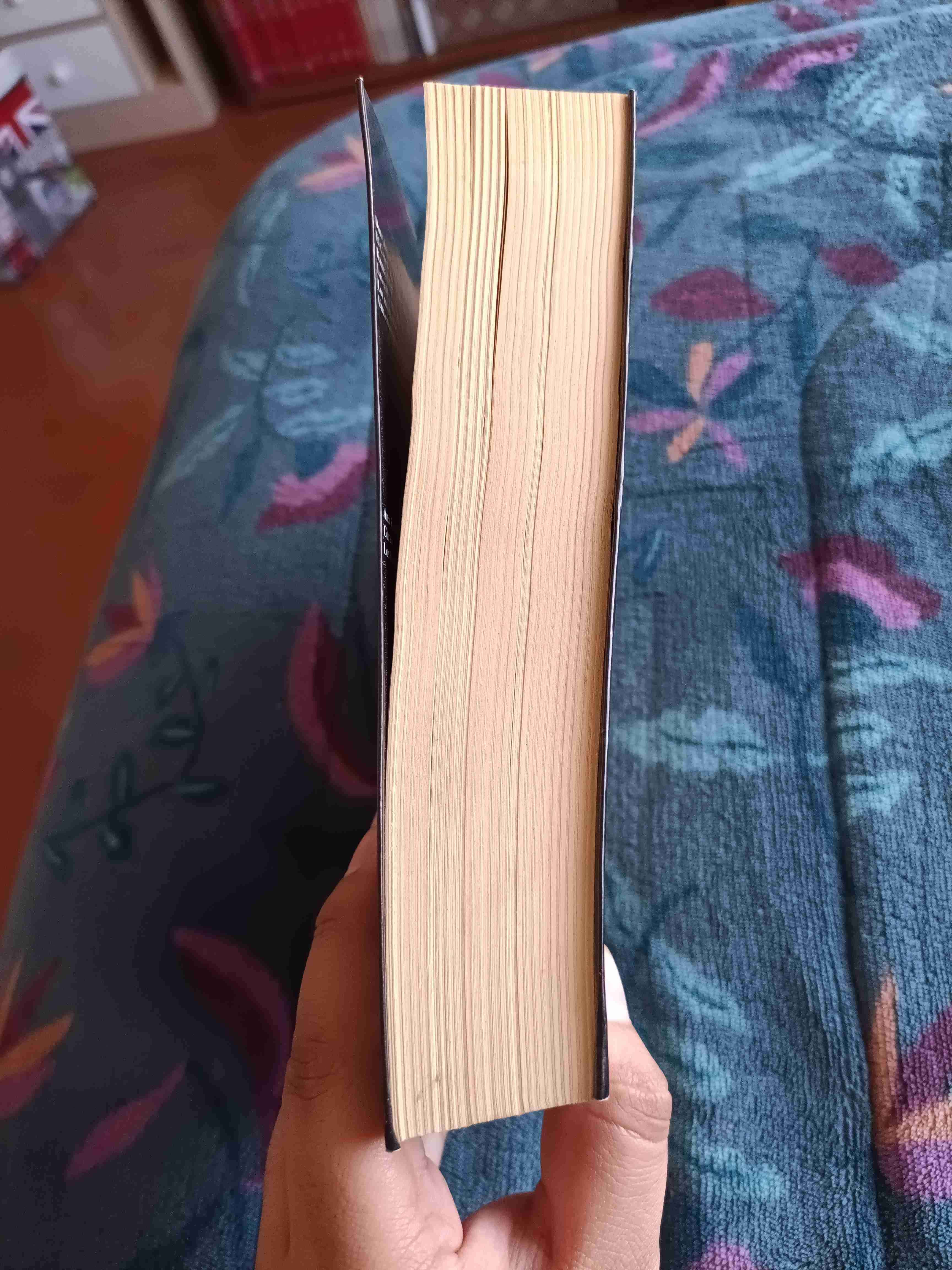 Libro Don Quijote de La Mancha - miniatura 3