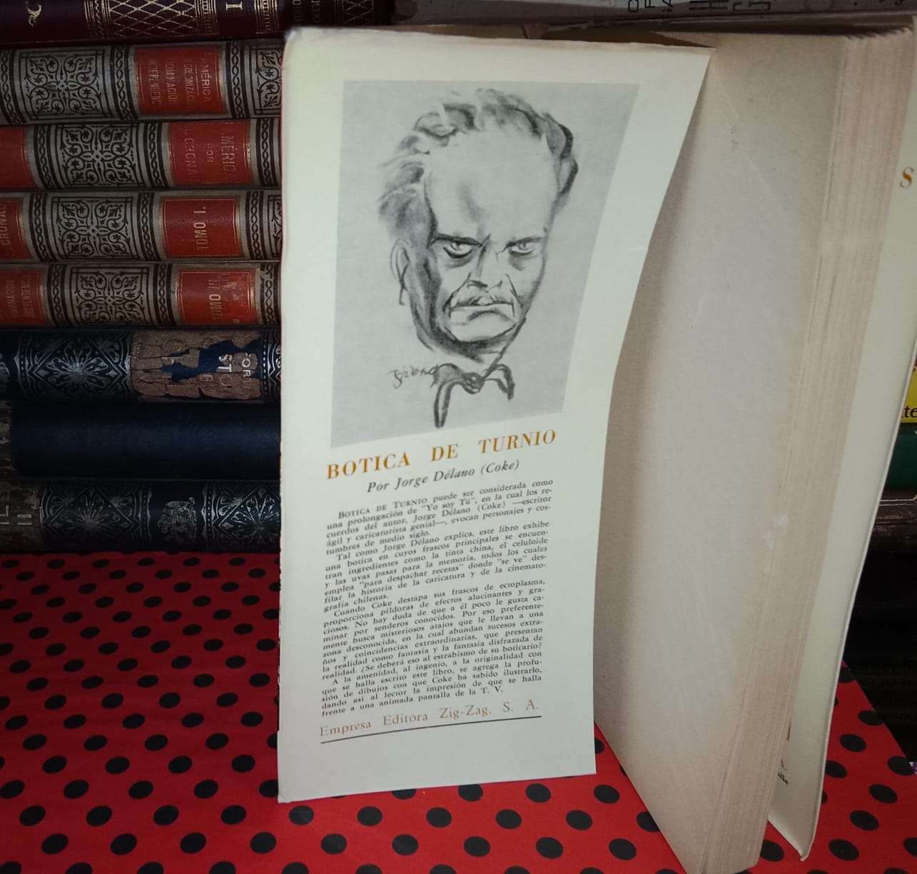 Botica de Turnio libro - miniatura 3