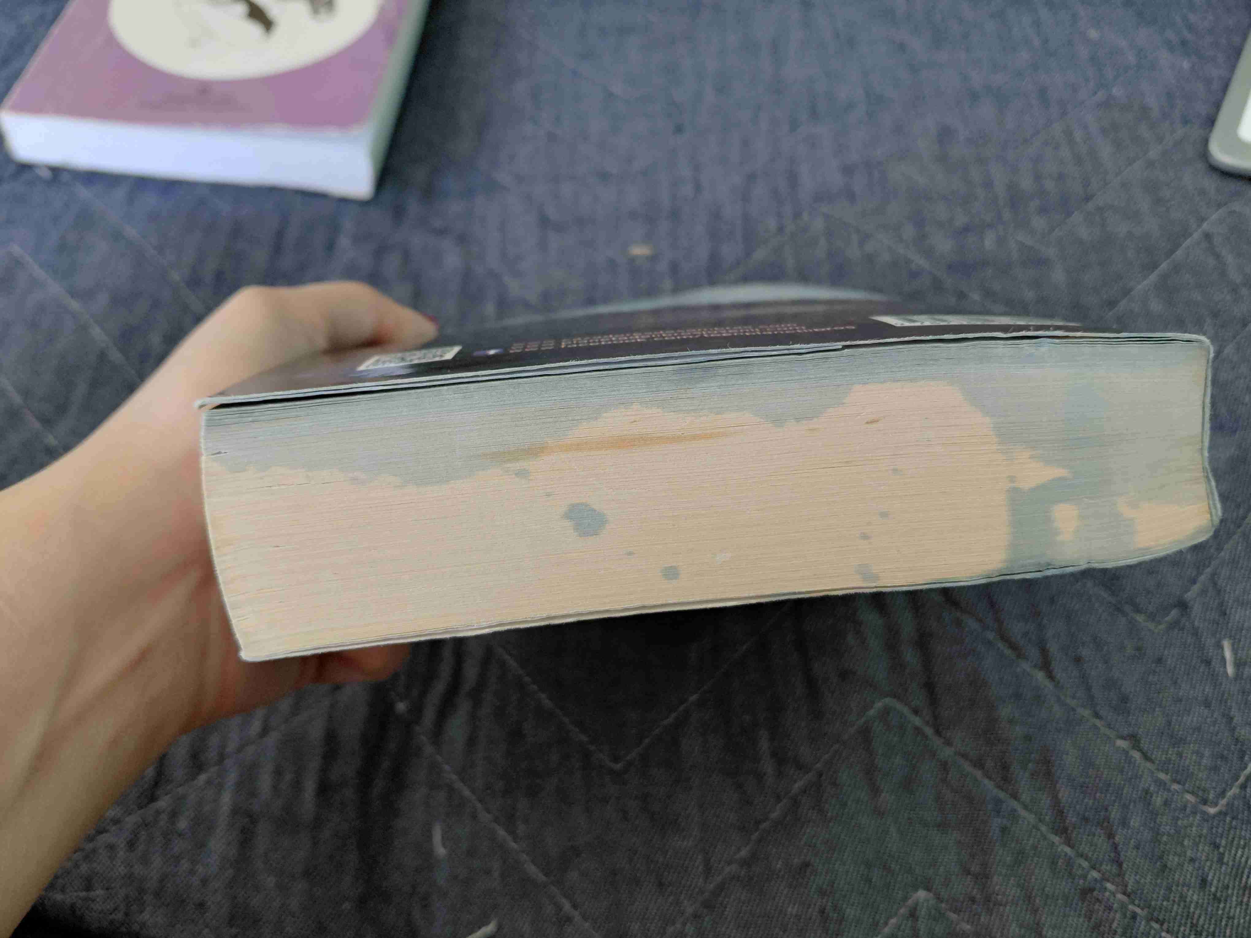 Libro Cazadores de Sombras - miniatura 2