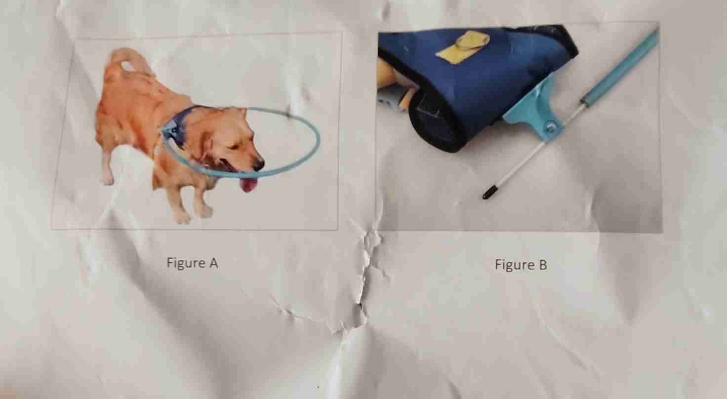 Arnés para perros con tubo - miniatura 1