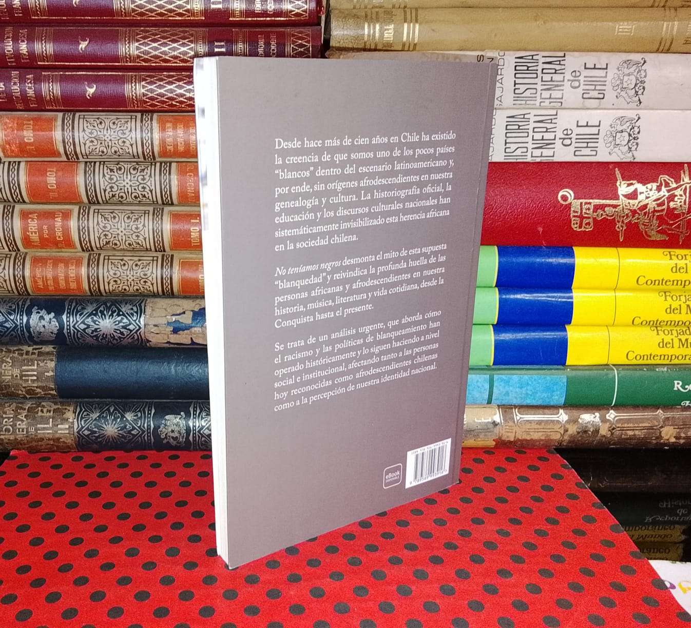 No Teníamos Negros - Montserrat Arre Marfull - miniatura 2