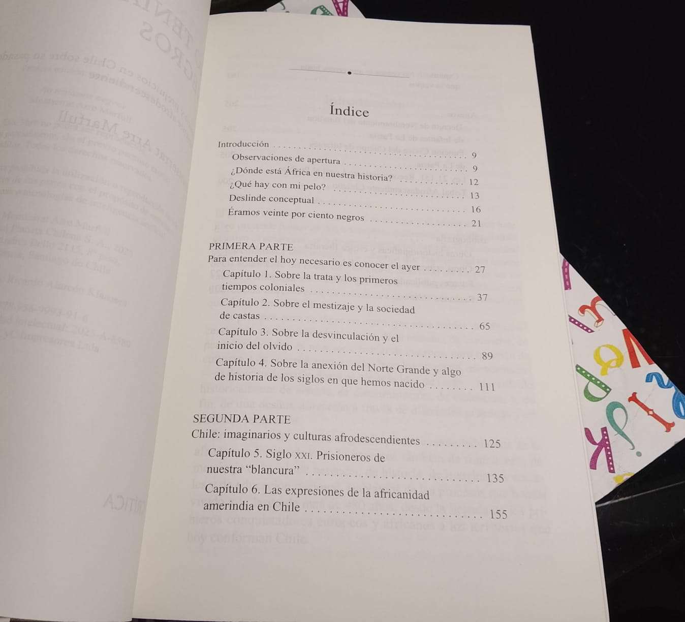 No Teníamos Negros - Montserrat Arre Marfull - miniatura 3