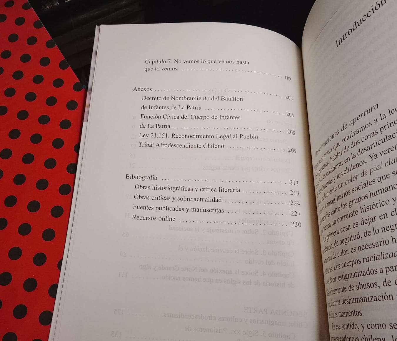No Teníamos Negros - Montserrat Arre Marfull - miniatura 4