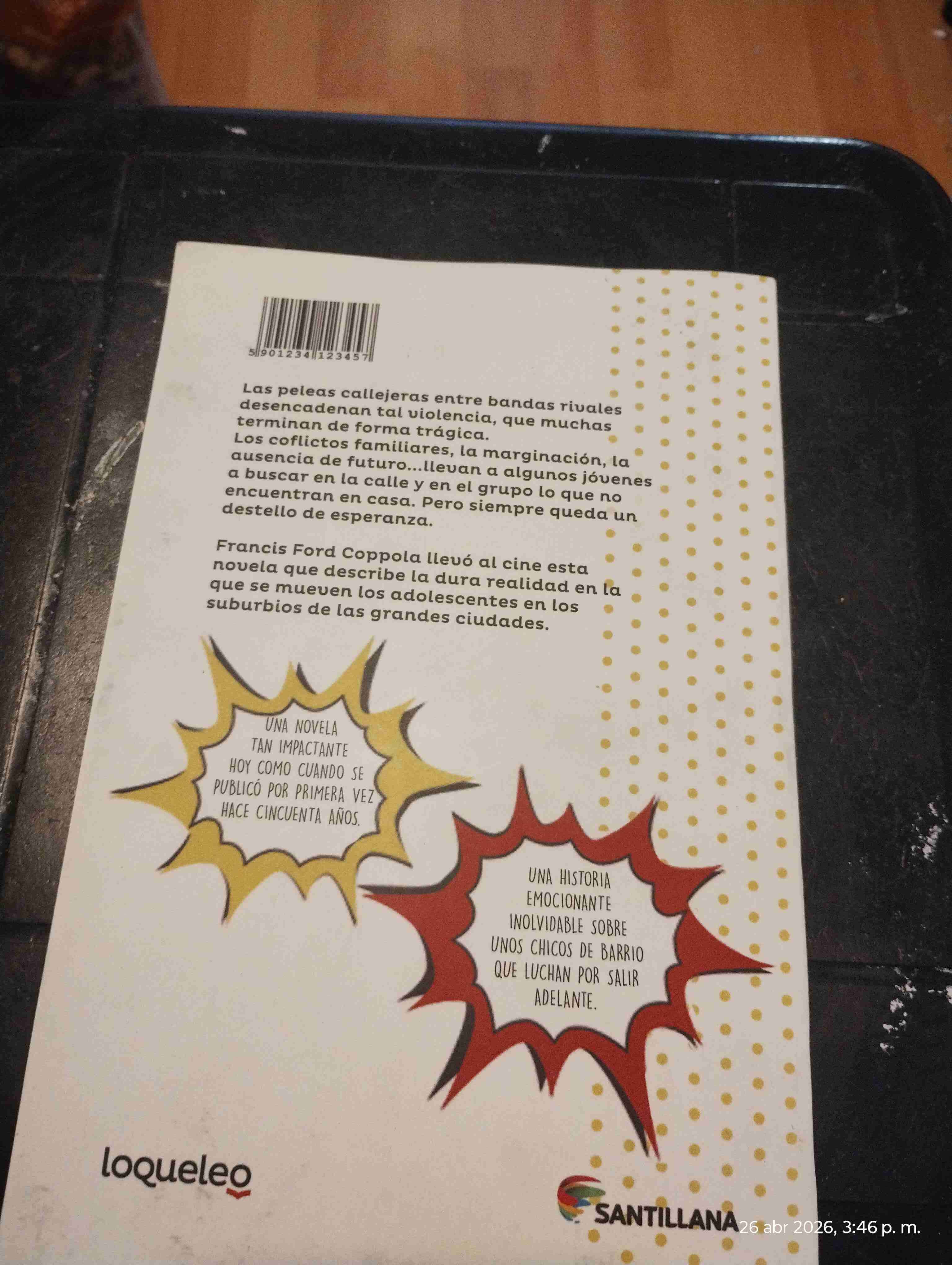 Libro Rebeldes de Susan E. Hinton - miniatura 2