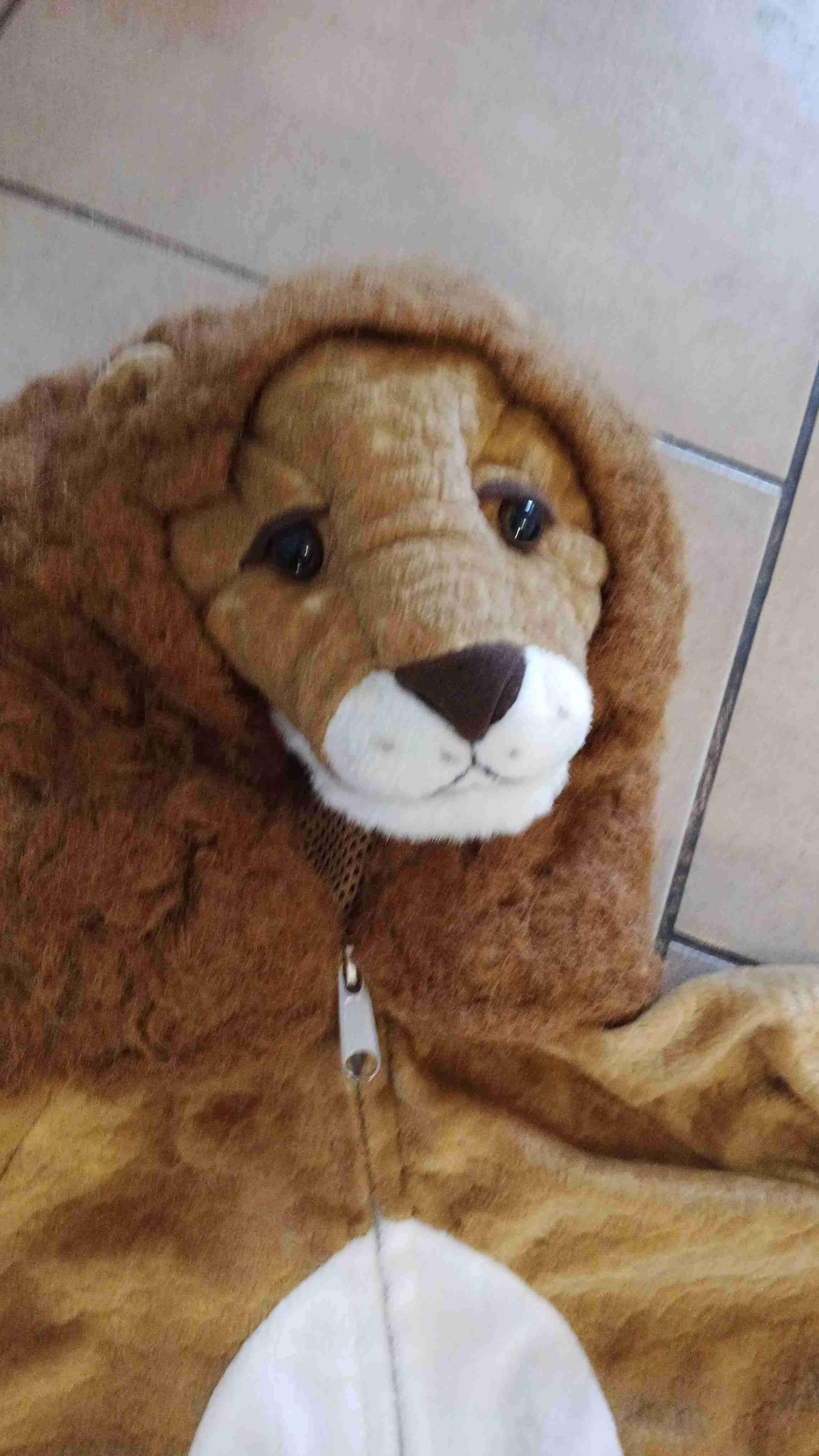 Disfraz de león infantil - miniatura 2