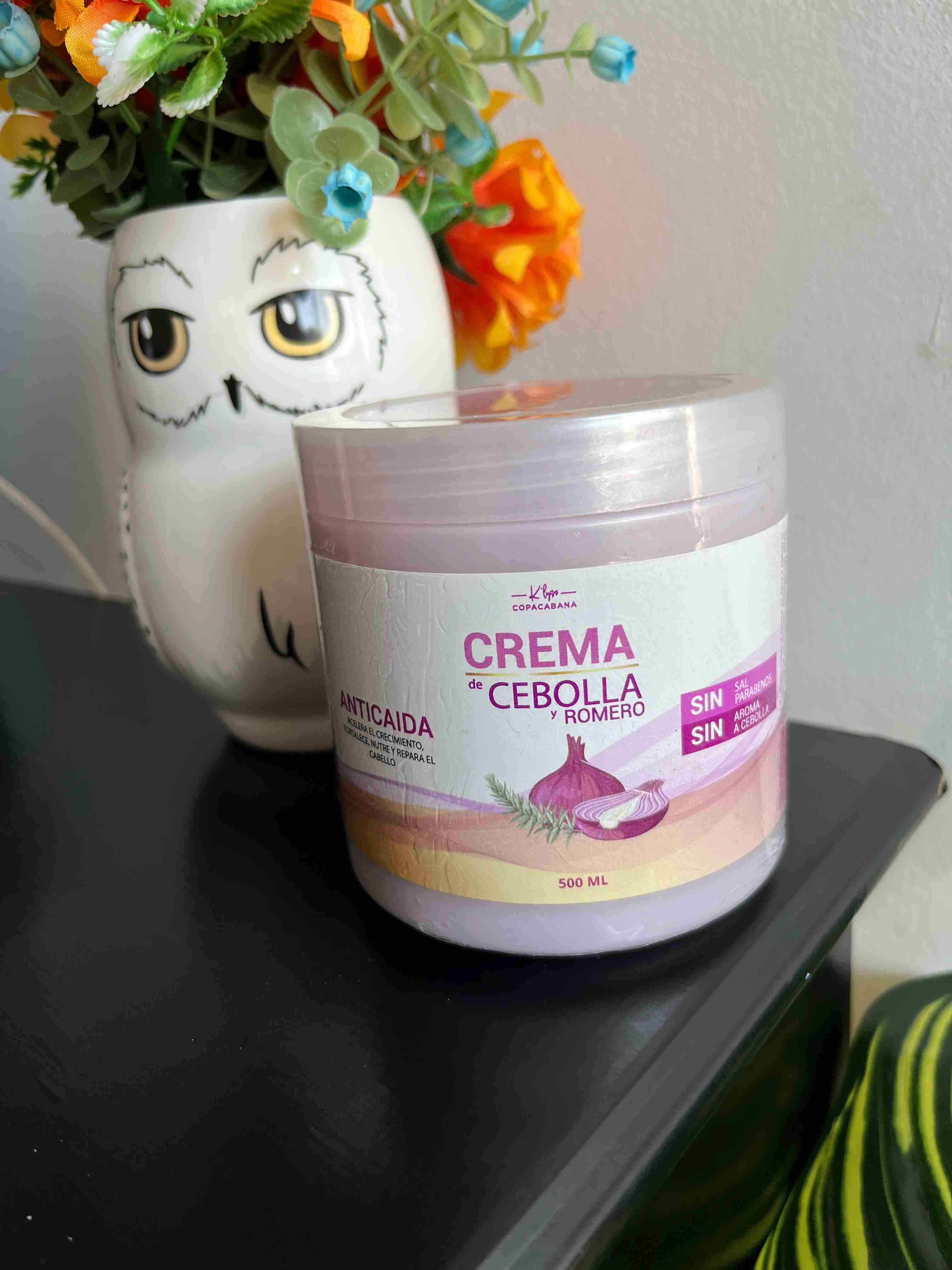 Crema de cebolla y romero - miniatura 2