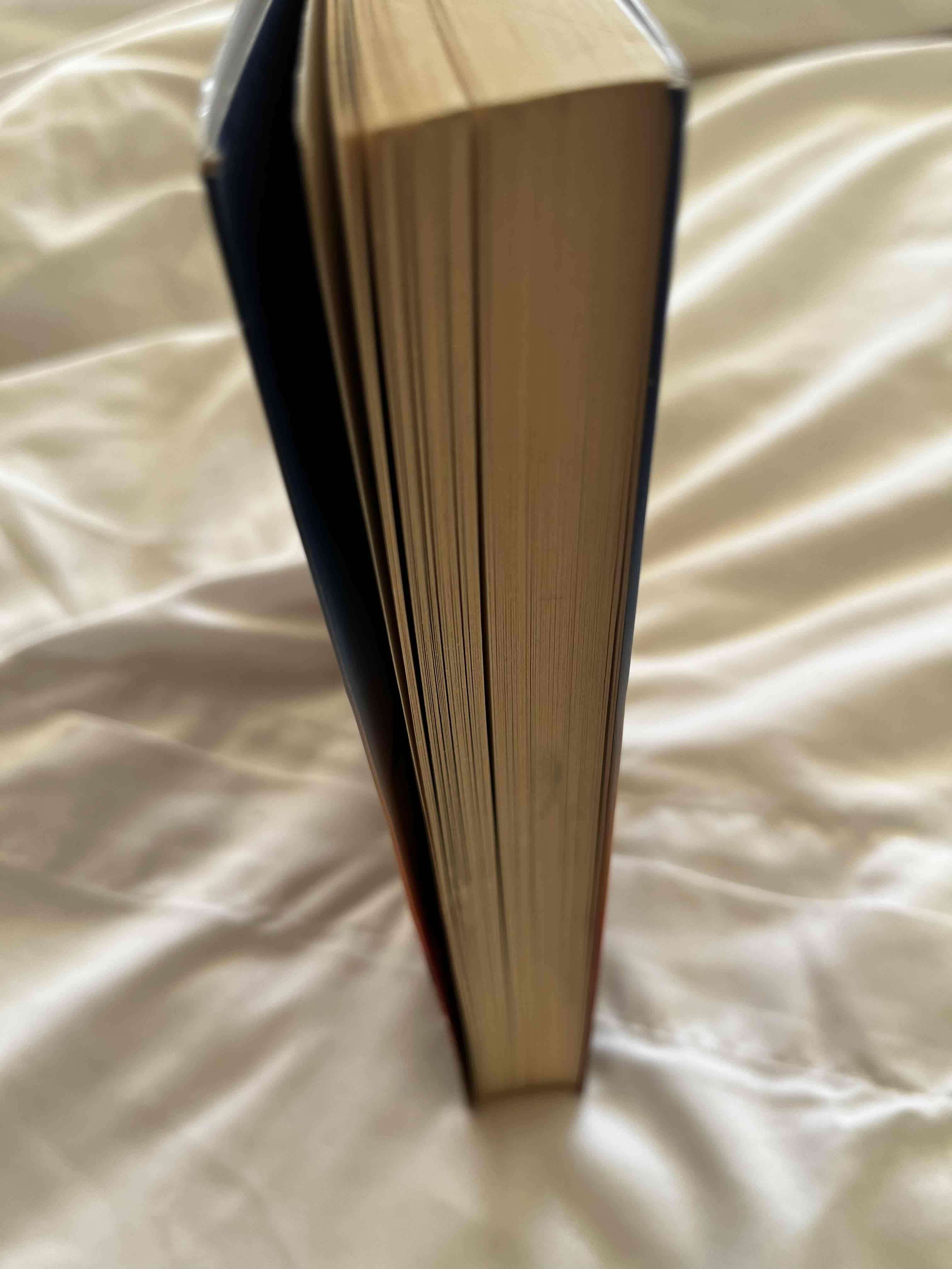 Libro “If I Fix You” - miniatura 3