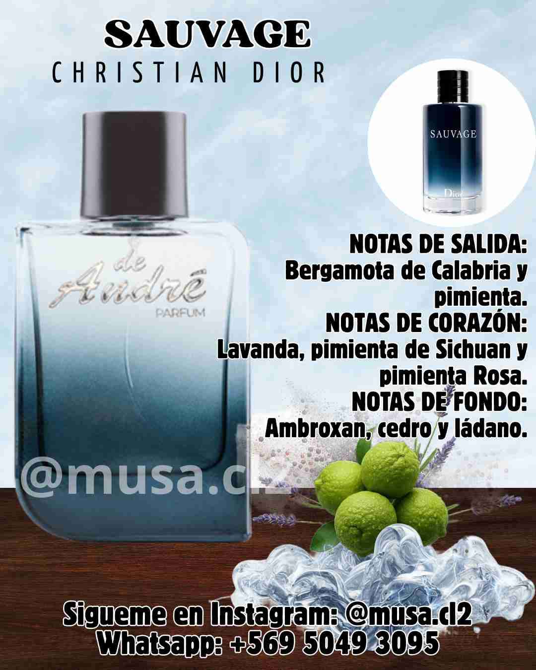 Dupe Christian Dior Sauvage 50ml