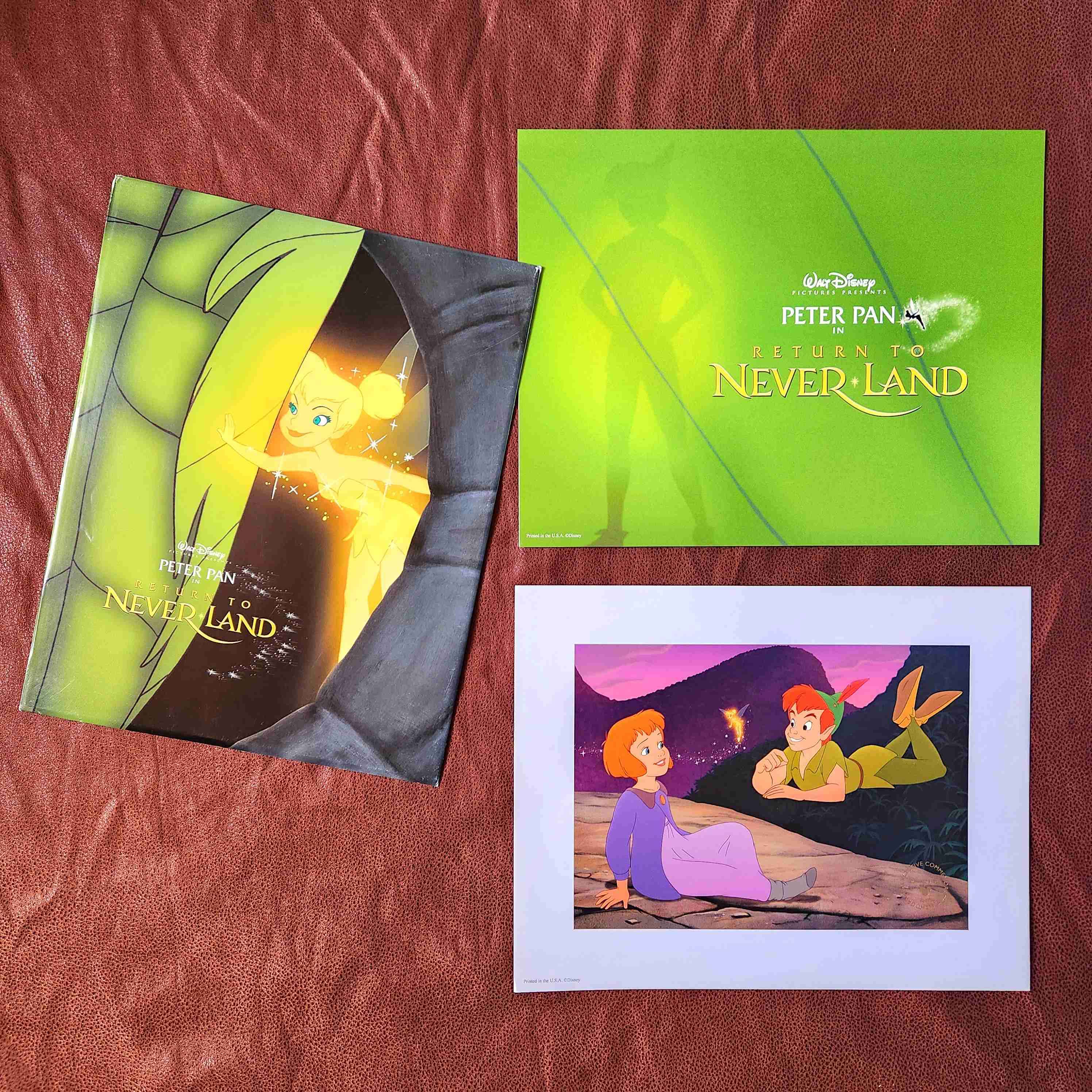 LITOGRAFIA DISNEY PETER PAN 2002🧚🏼⛰️ - miniatura 1