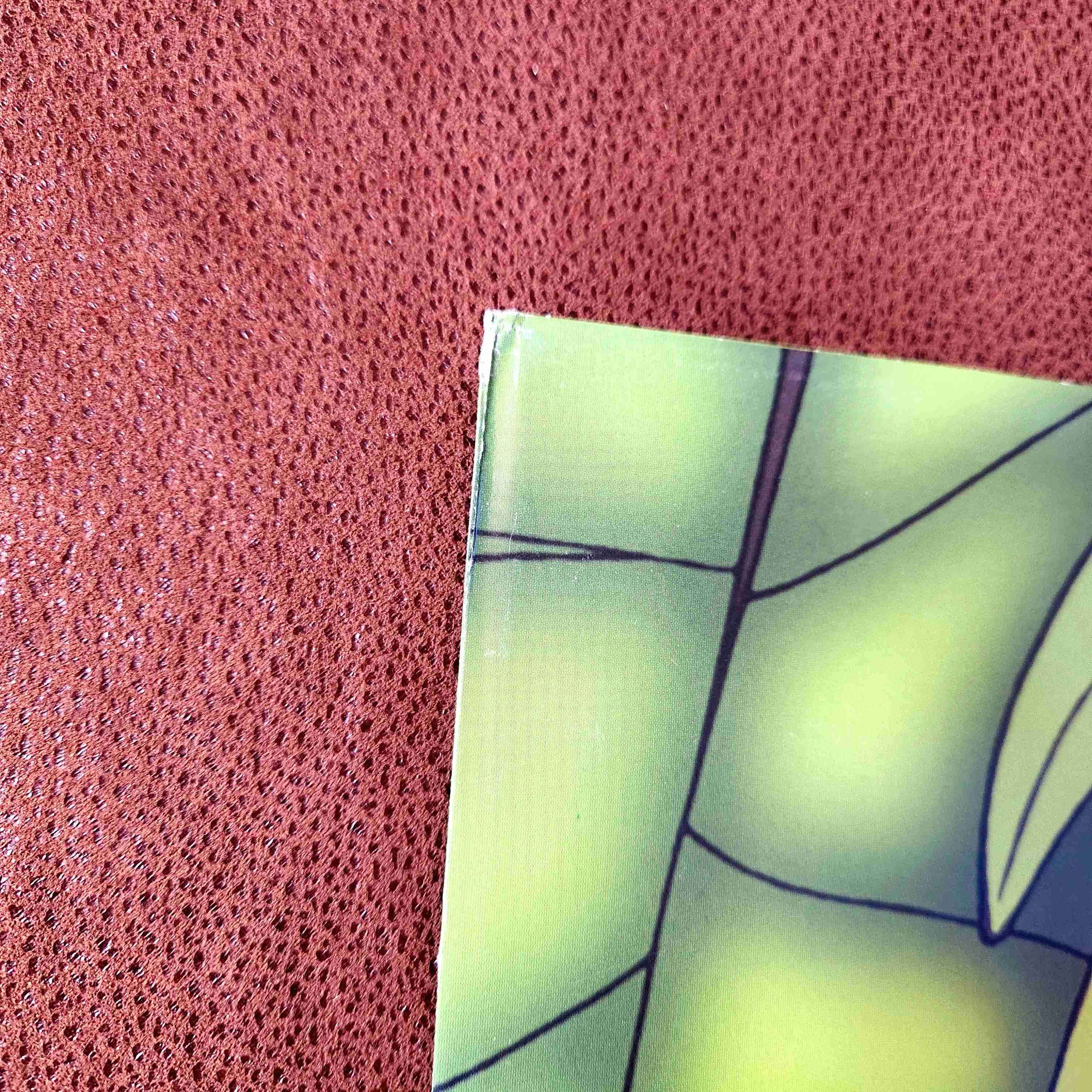 LITOGRAFIA DISNEY PETER PAN 2002🧚🏼⛰️ - miniatura 5