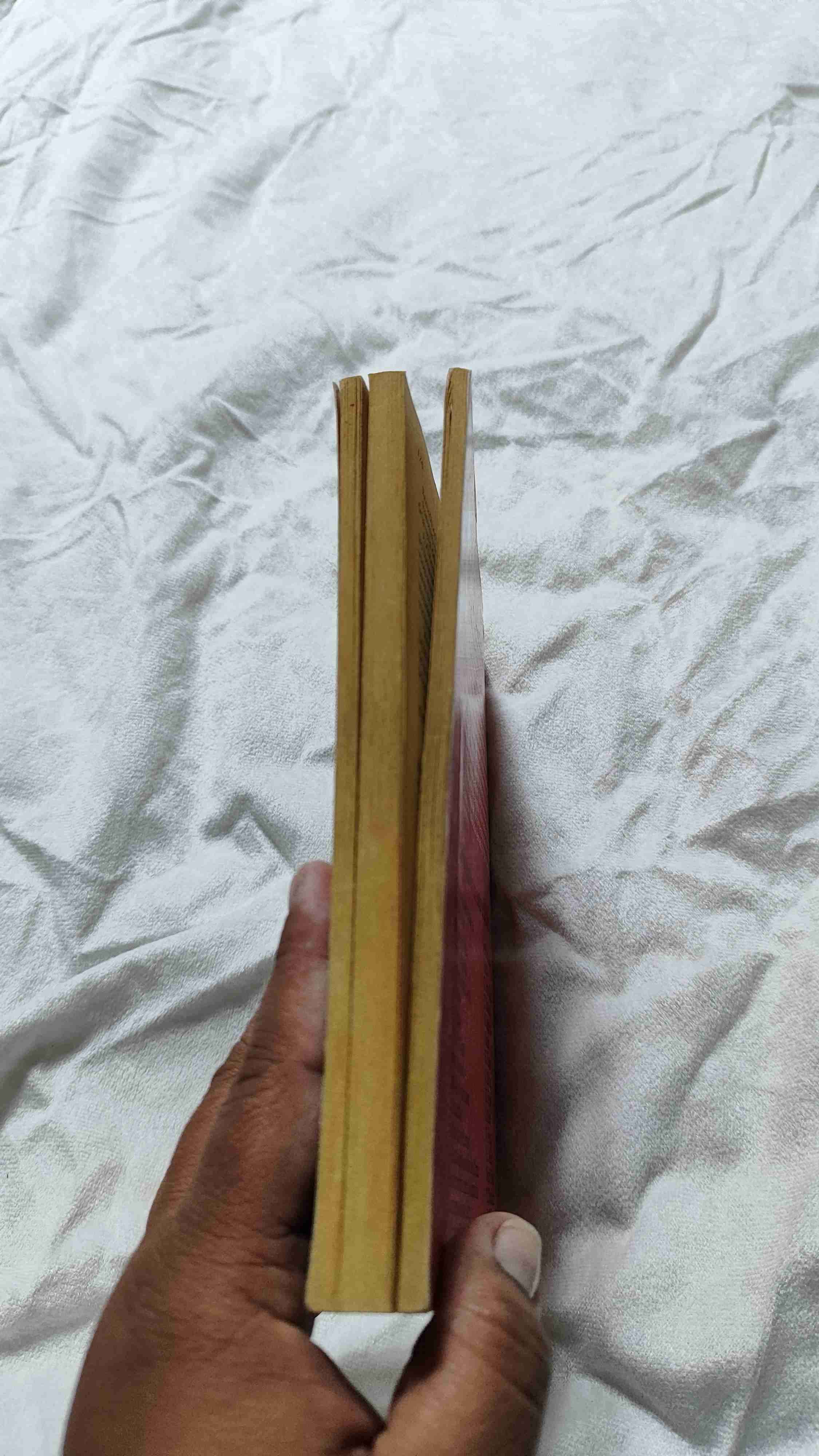 Libro Farenheit 451 Ray Bradbury - miniatura 2