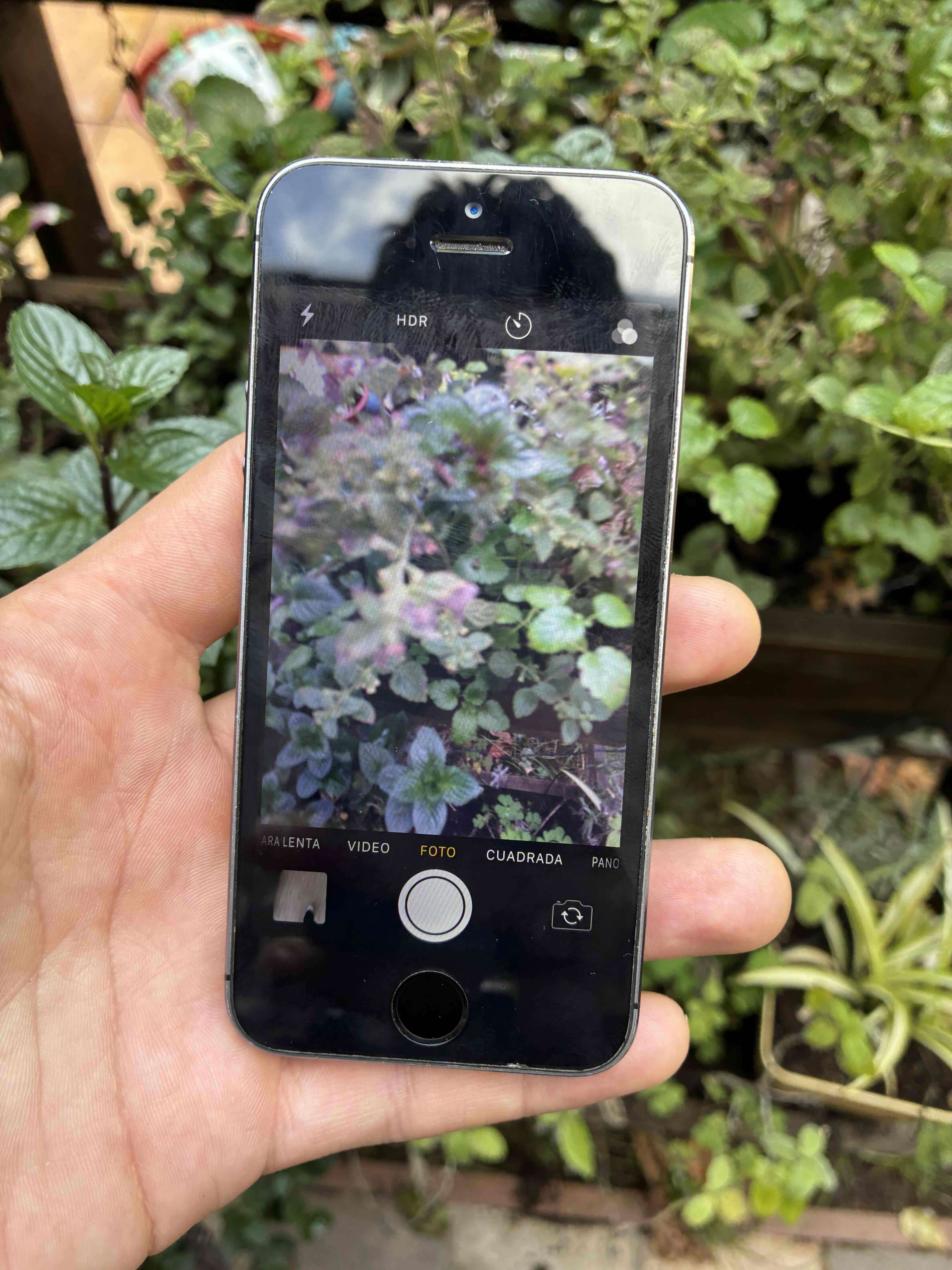 iPhone 5s gris en buen estado - miniatura 4