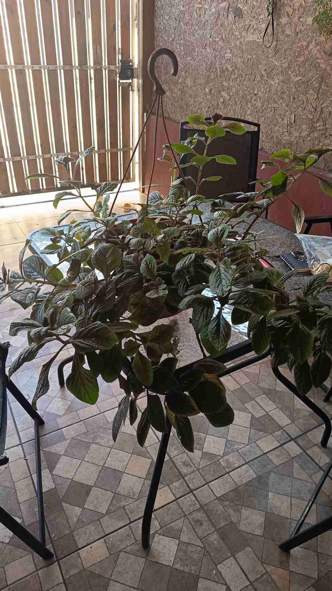 Mochila lila con diseño de gato - miniatura 5