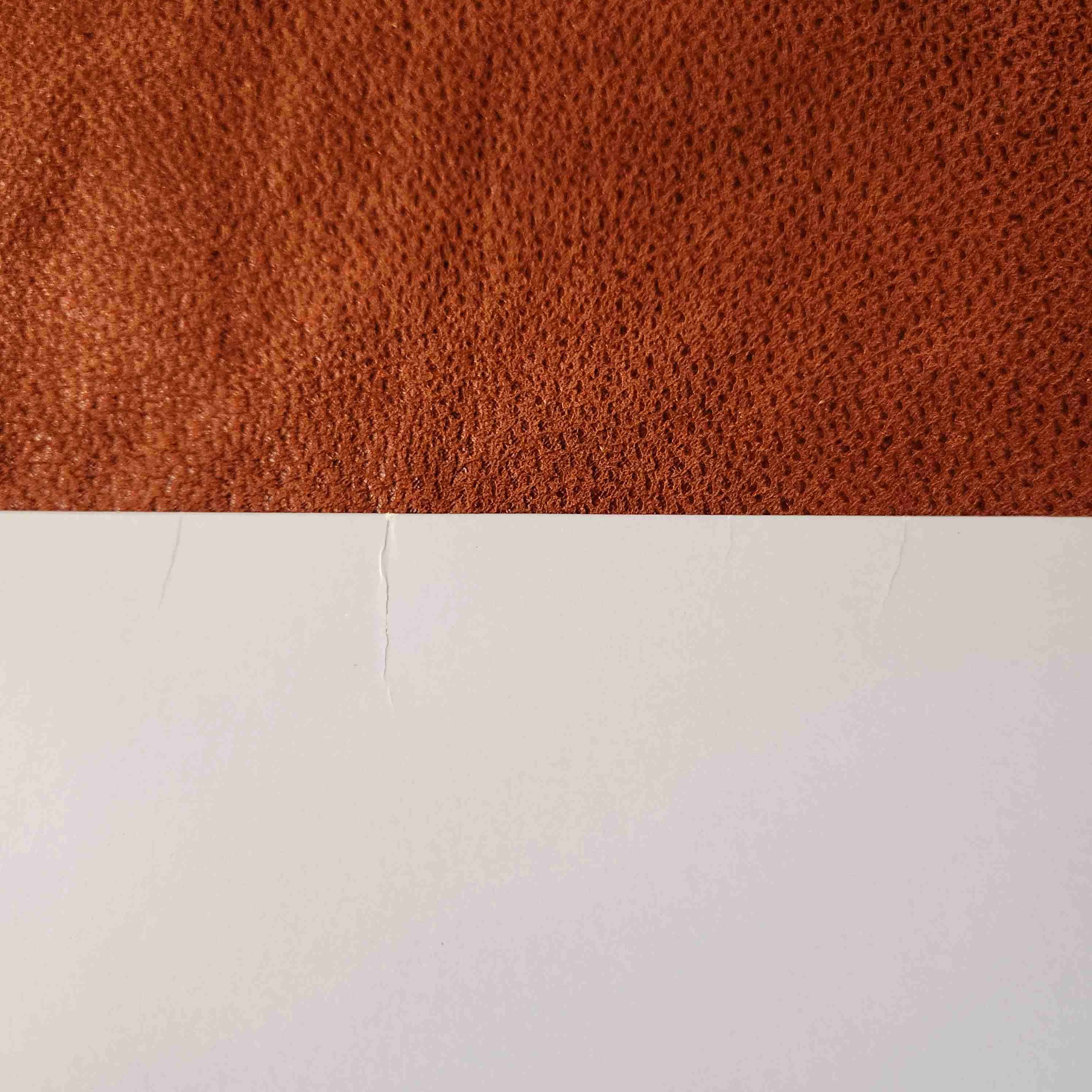 LITOGRAFIA  disney EL JOROBADO DE NOTRE DAME ♟️👑🔔 - miniatura 6